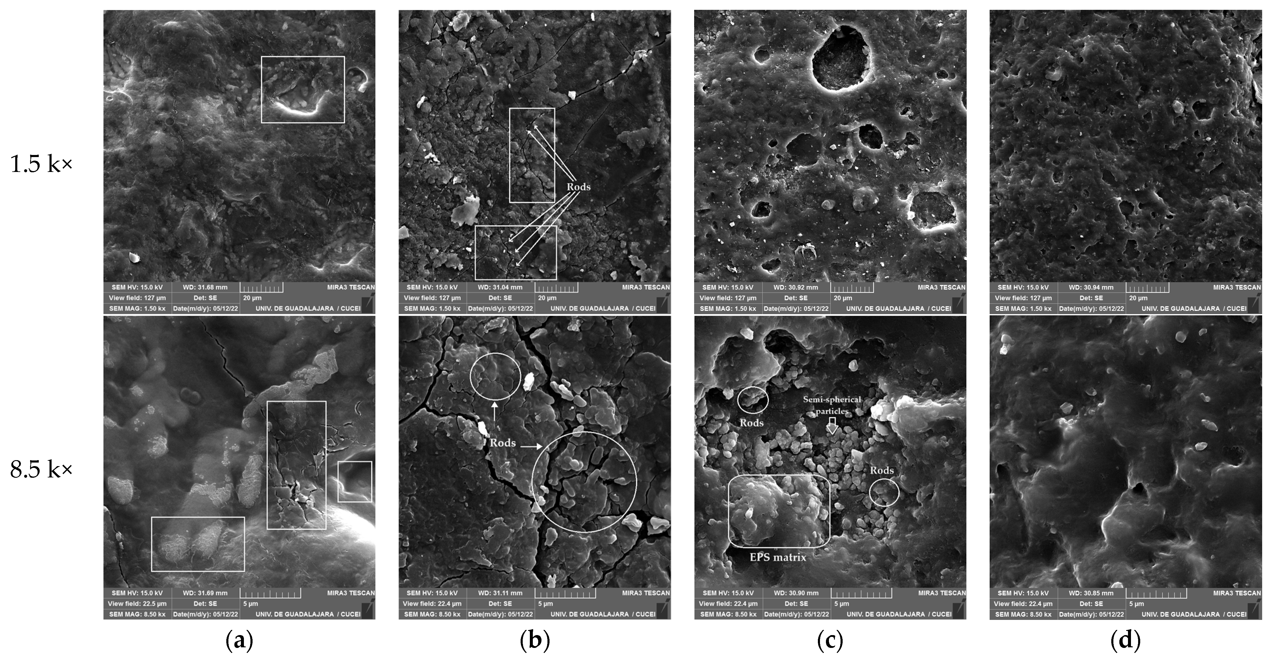 Polymers 16 01162 g007 Polymers 16 01162 g007