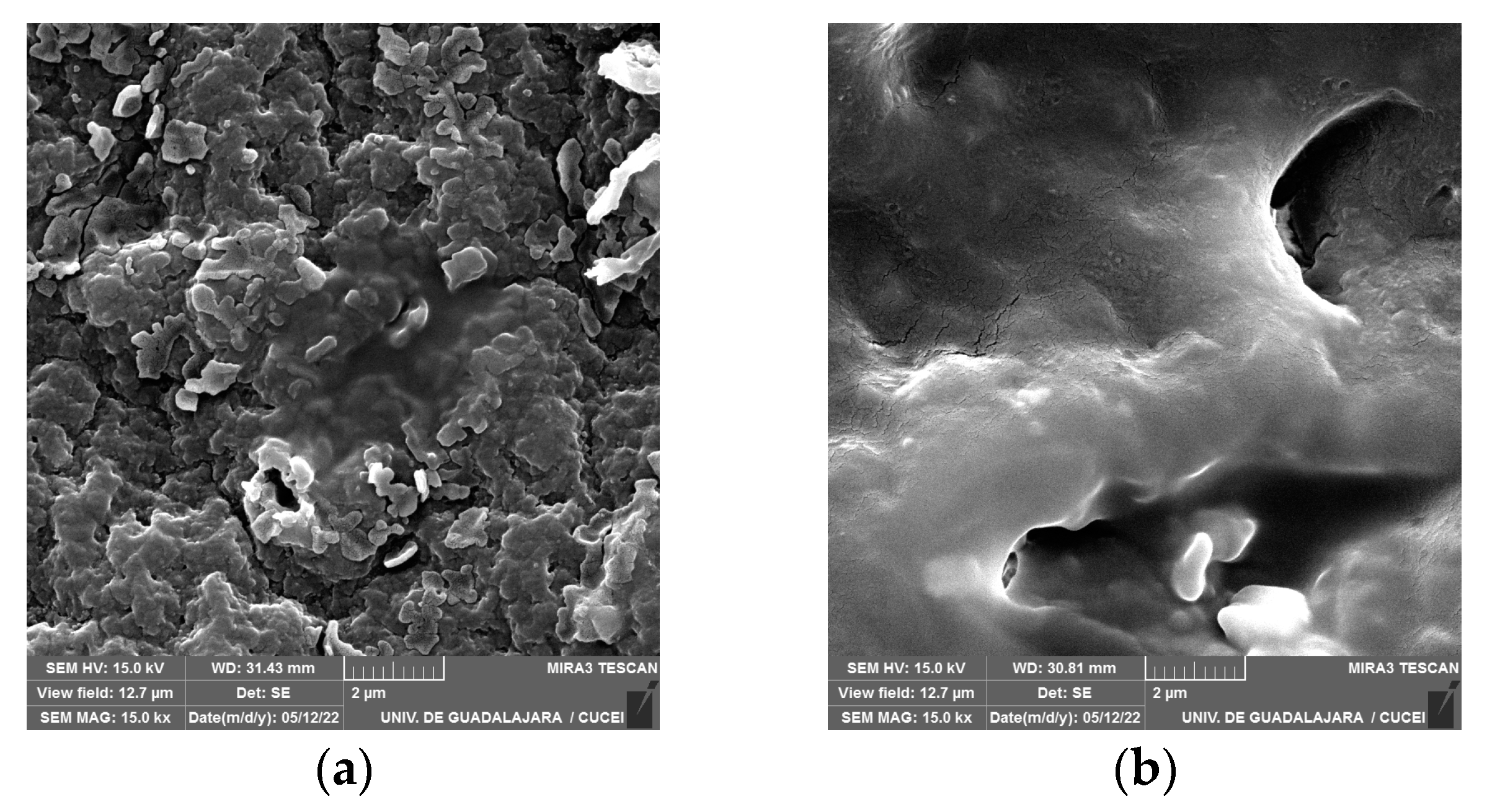 Polymers 16 01162 g008 Polymers 16 01162 g008