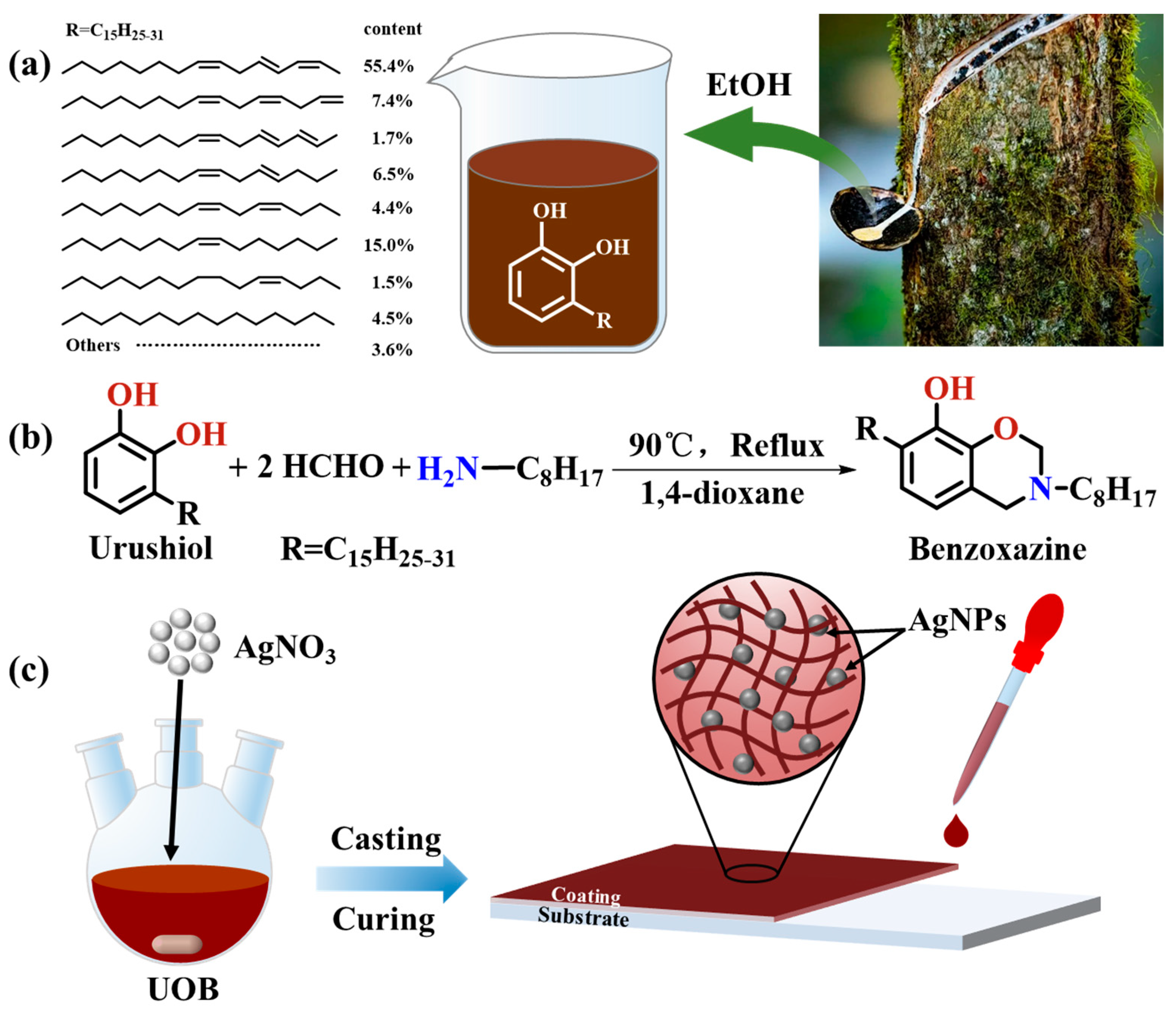 Polymers 16 01167 g001