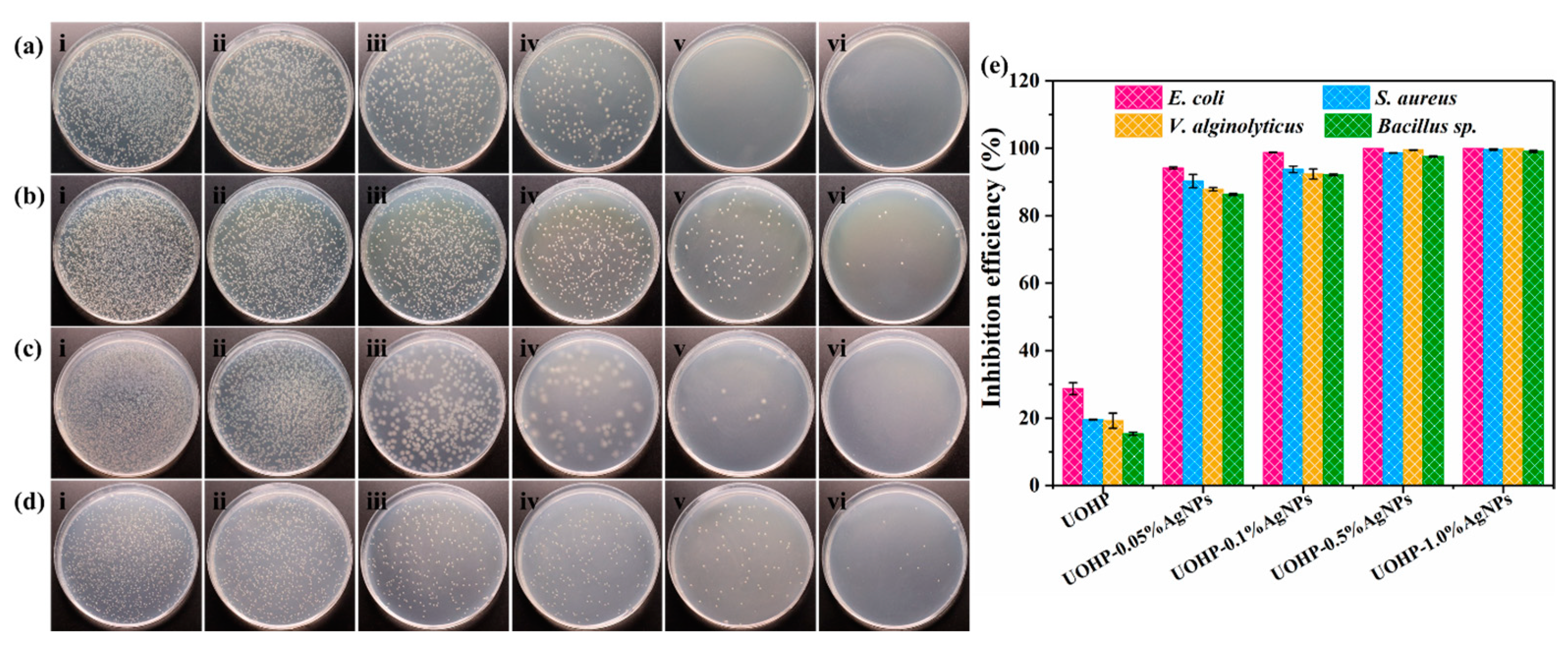 Polymers 16 01167 g008
