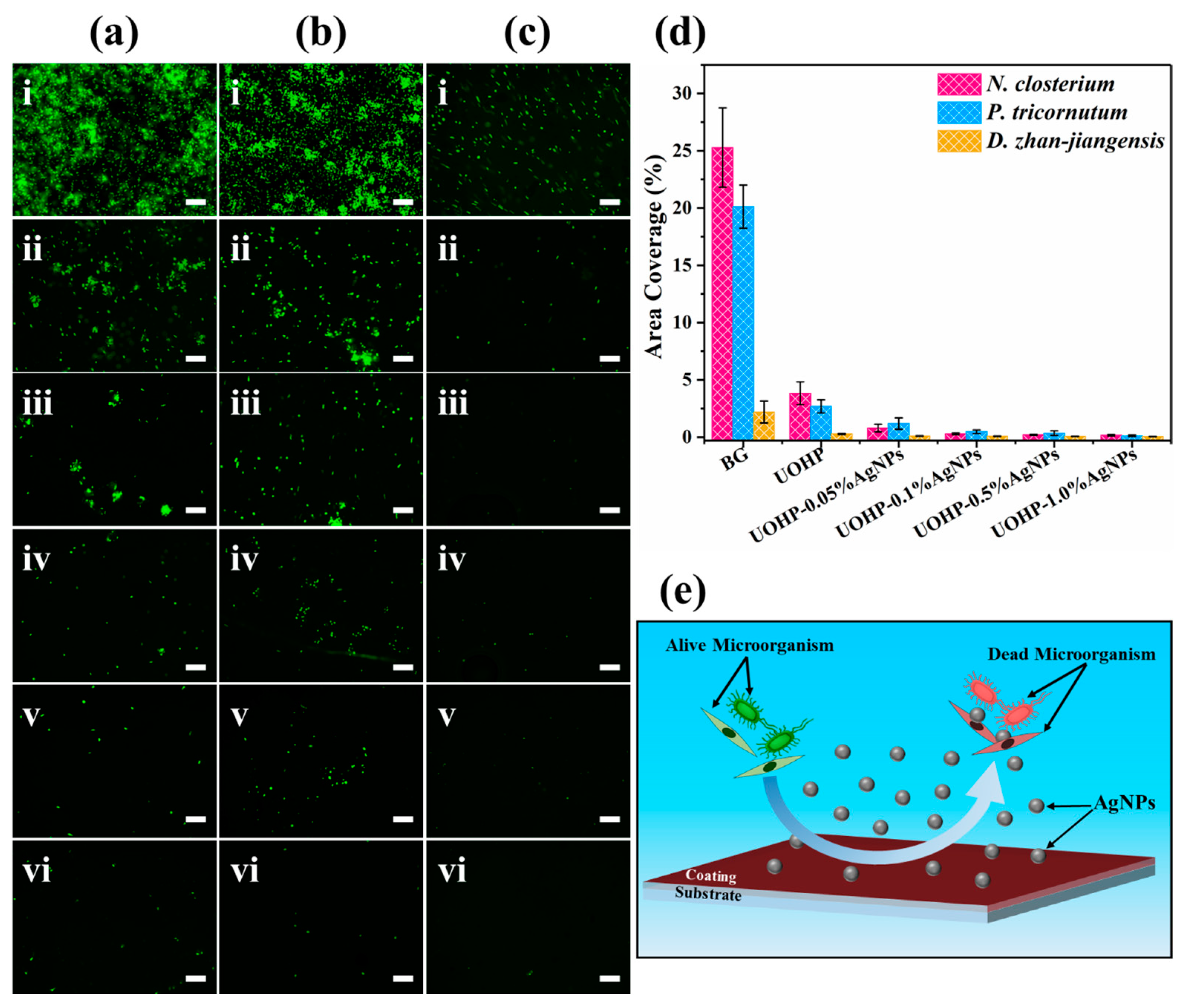 Polymers 16 01167 g010