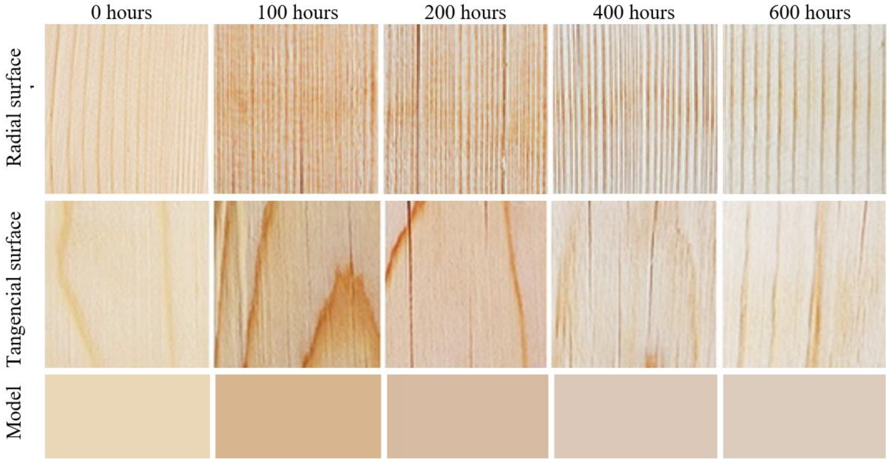 Polymers 16 01191 g005