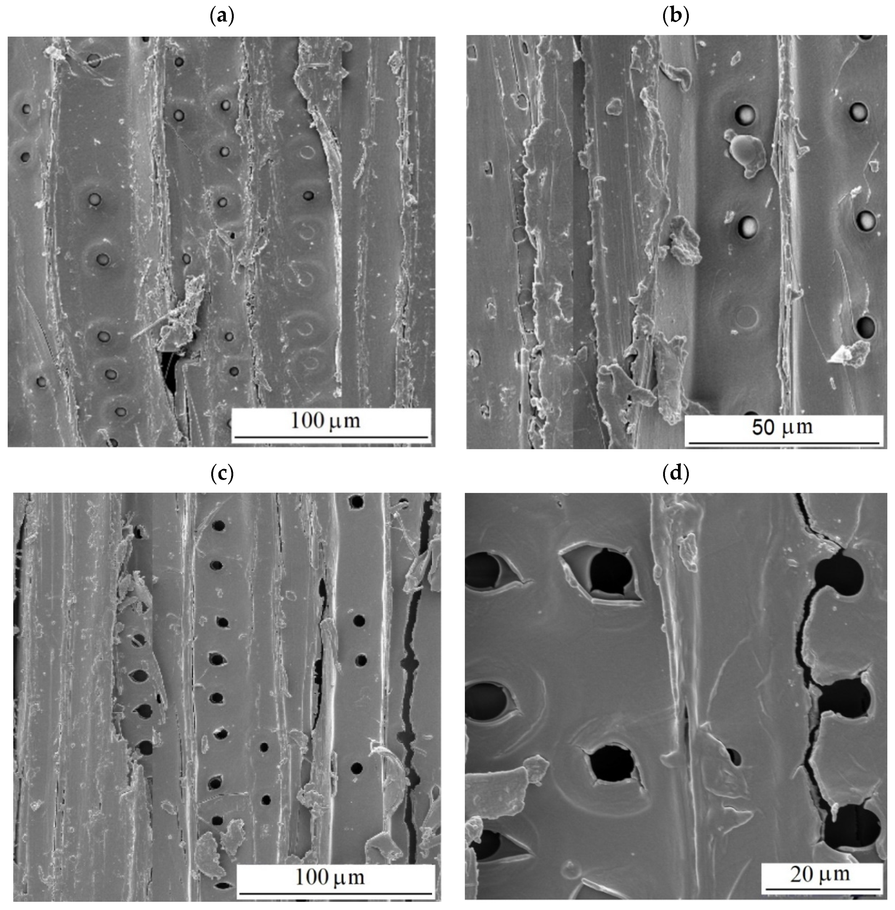 Polymers 16 01191 g014a