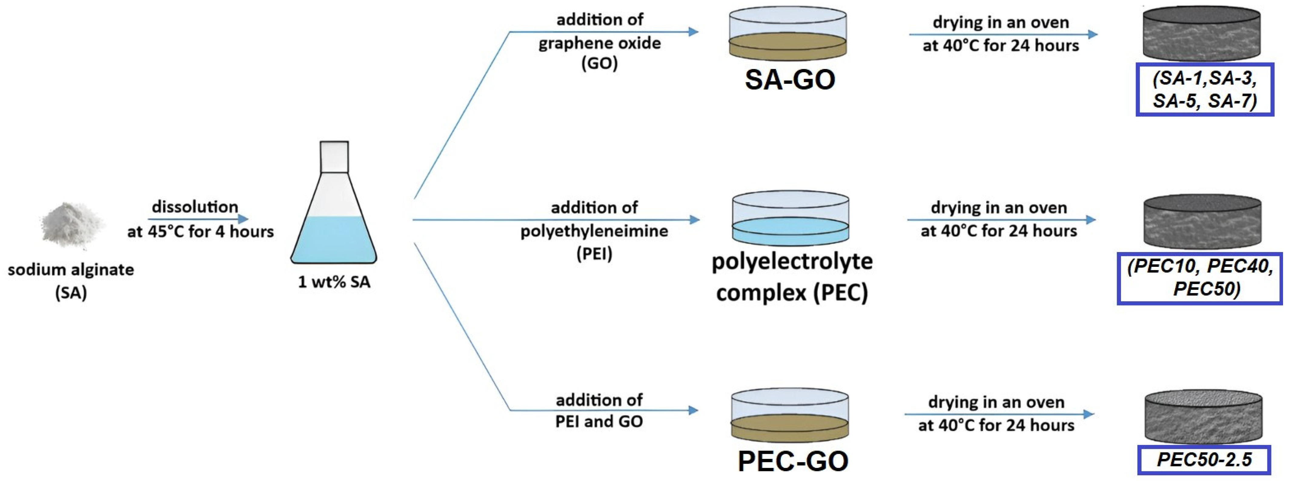 Polymers 16 01206 g001