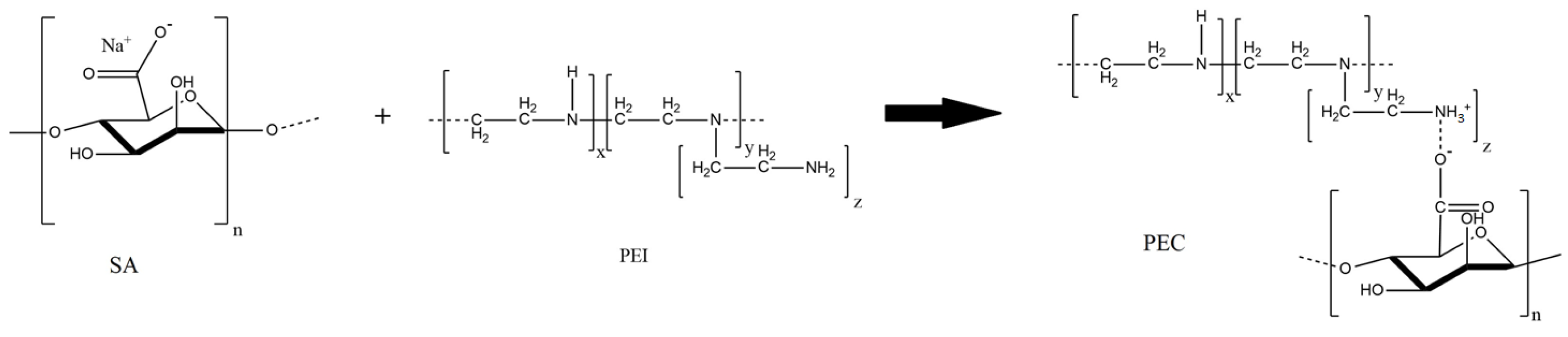 Polymers 16 01206 g010
