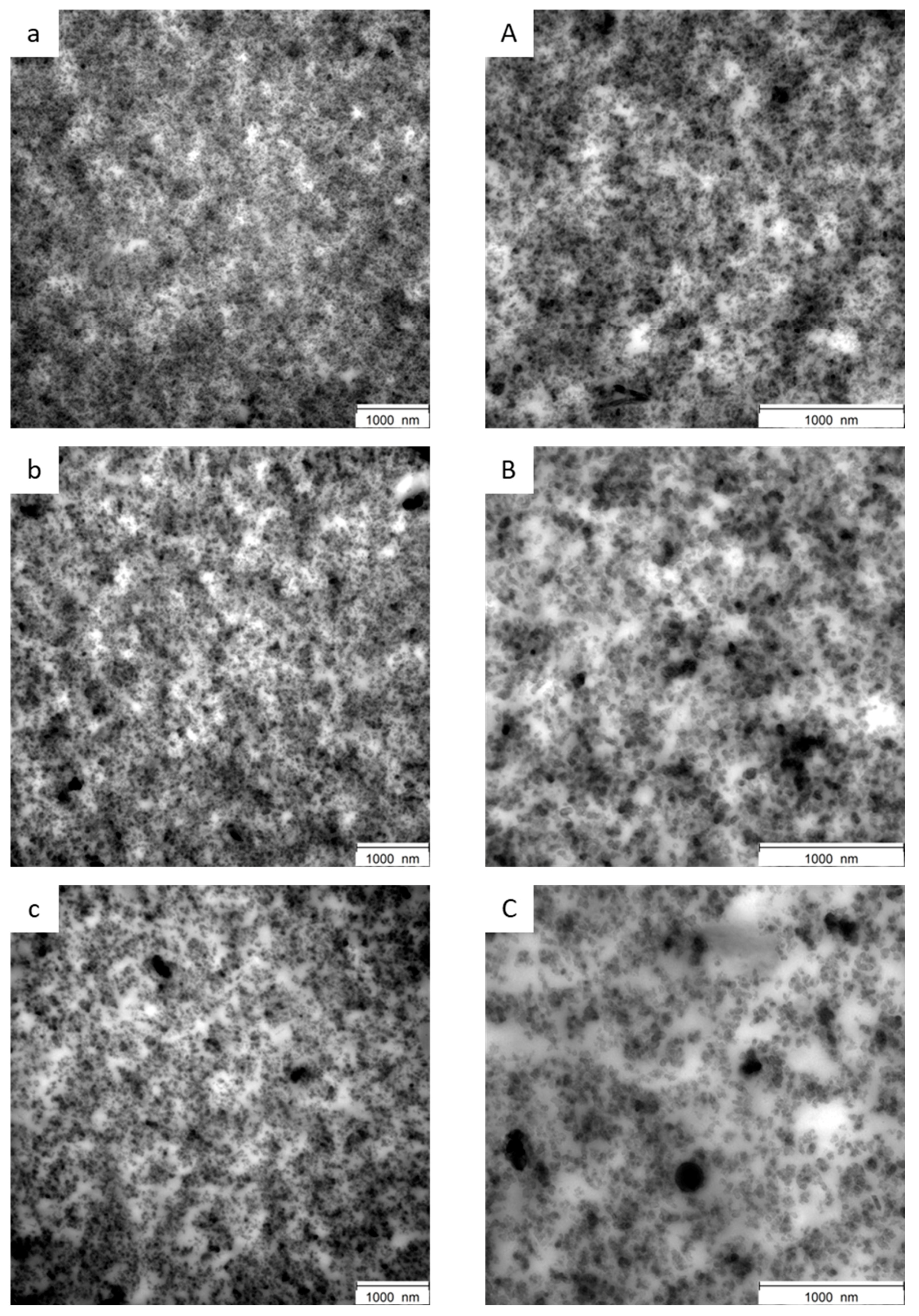 Polymers 16 01214 g007 Polymers 16 01214 g007