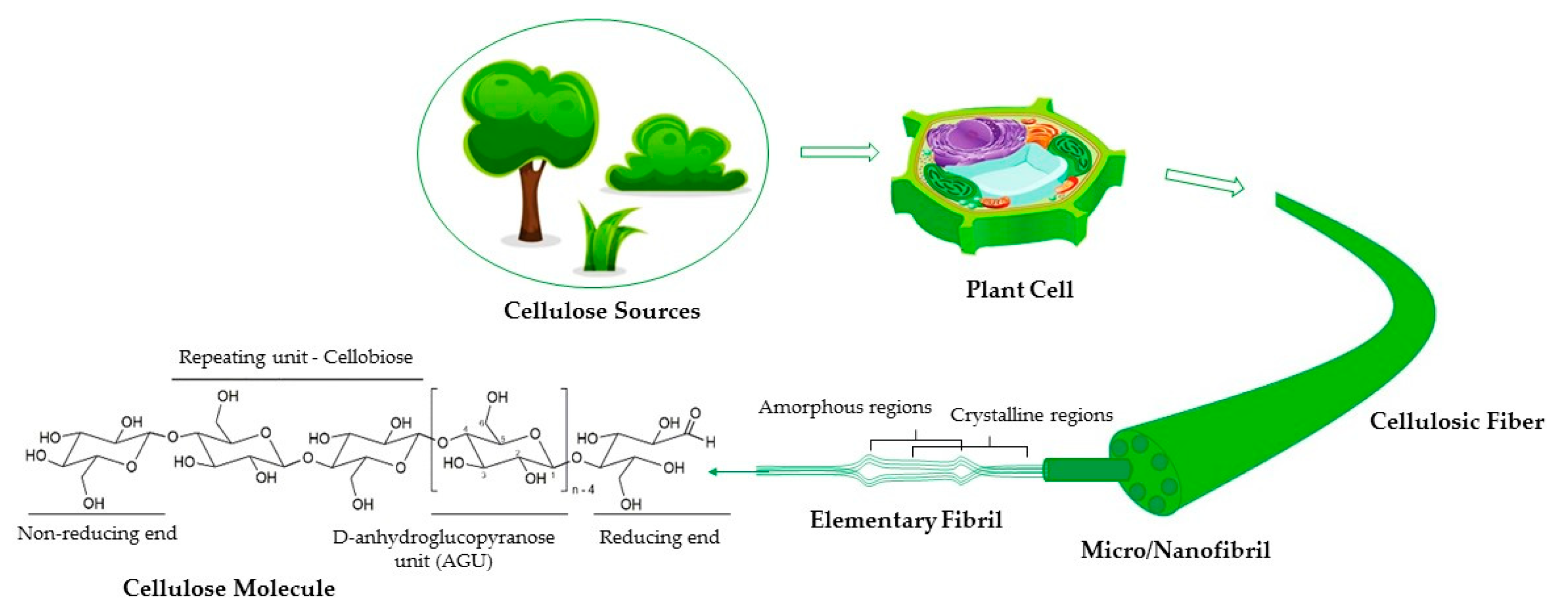 Polymers 16 01227 g001