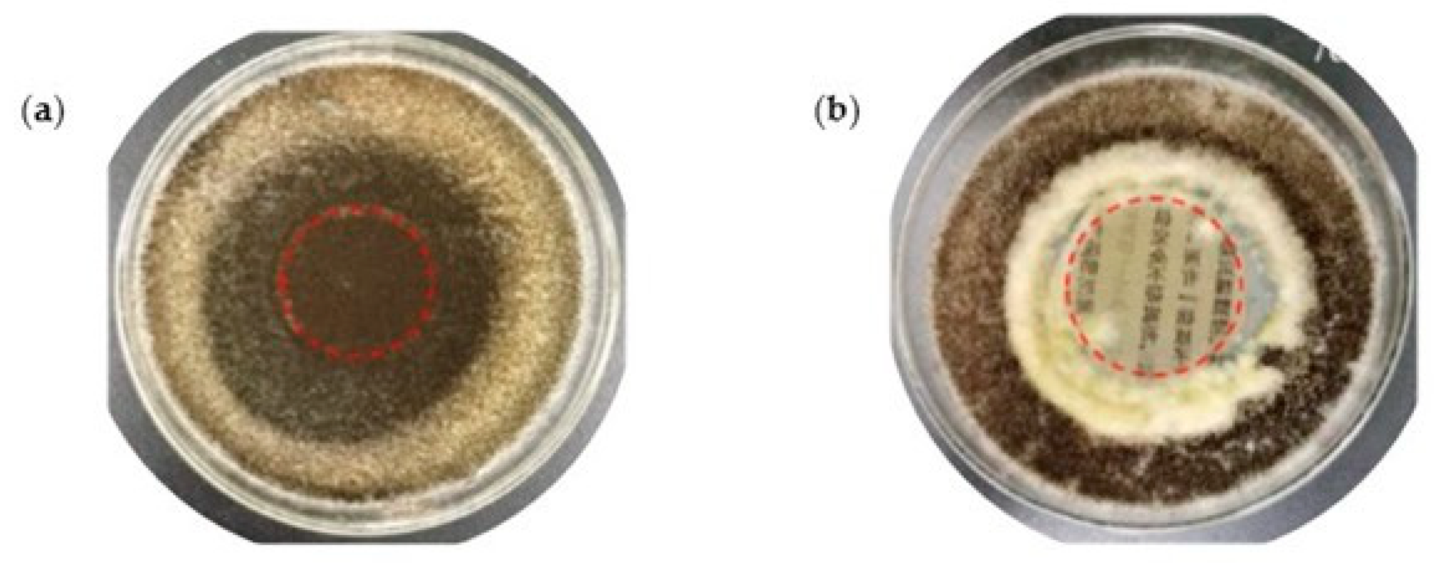 Polymers 16 01227 g007