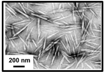 Polymers 16 01227 i001