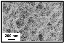 Polymers 16 01227 i003