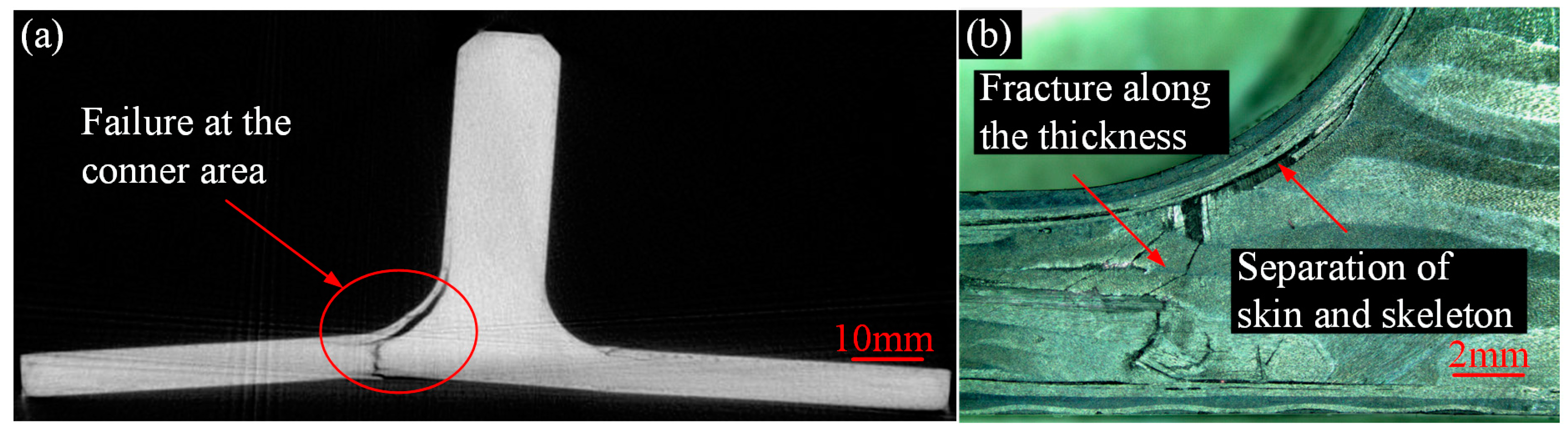 Polymers 16 01259 g020
