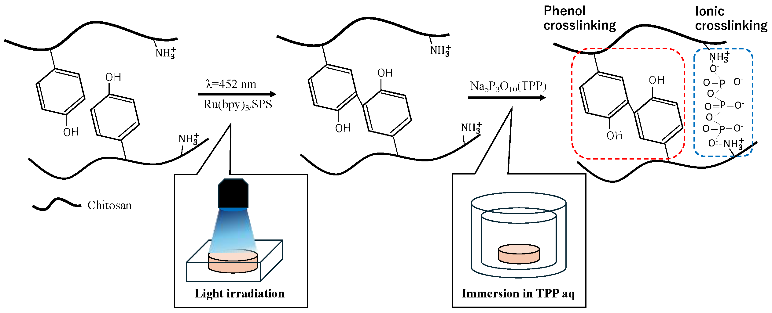 Polymers 16 01274 g001