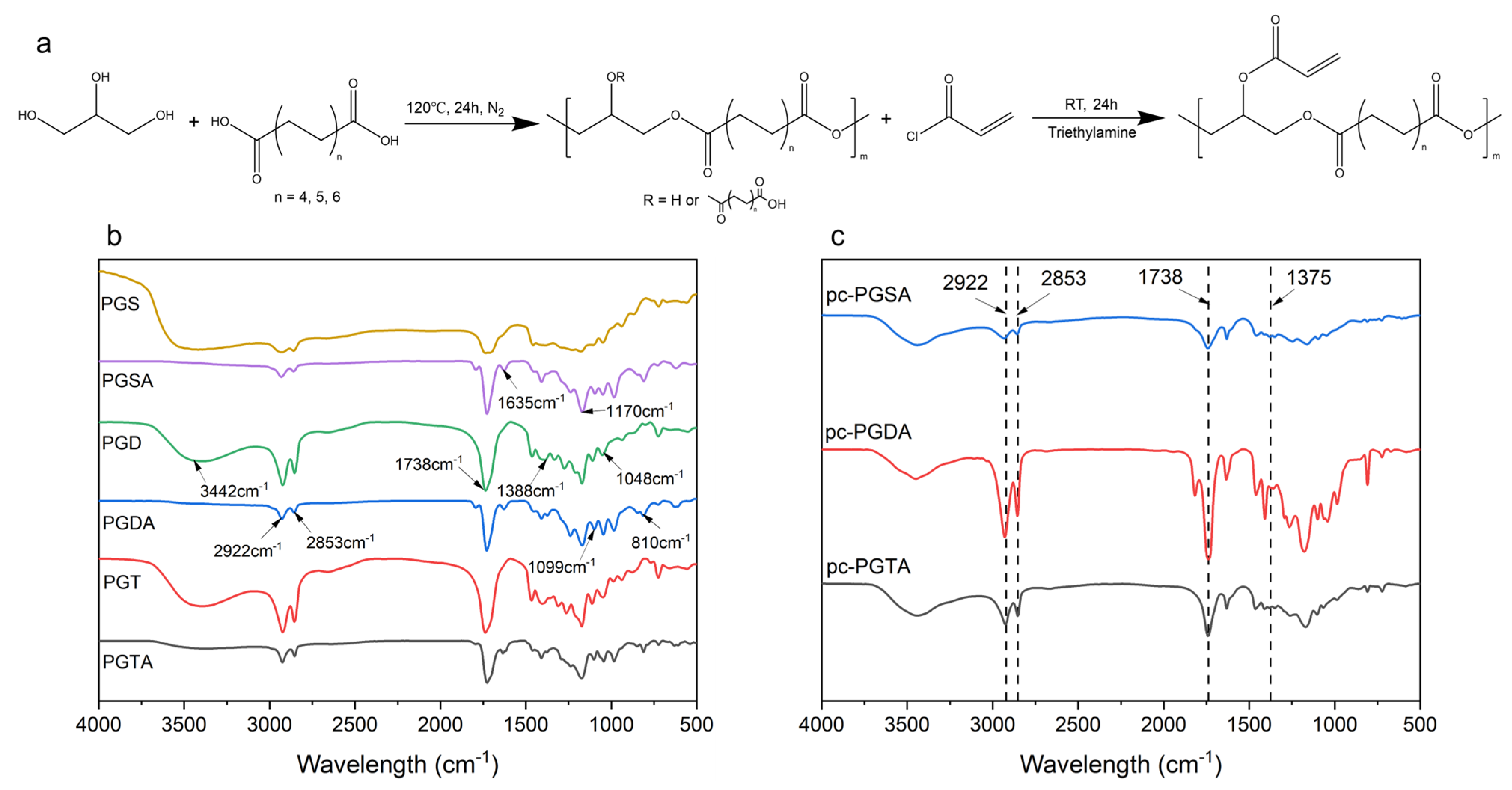 Polymers 16 01278 g001