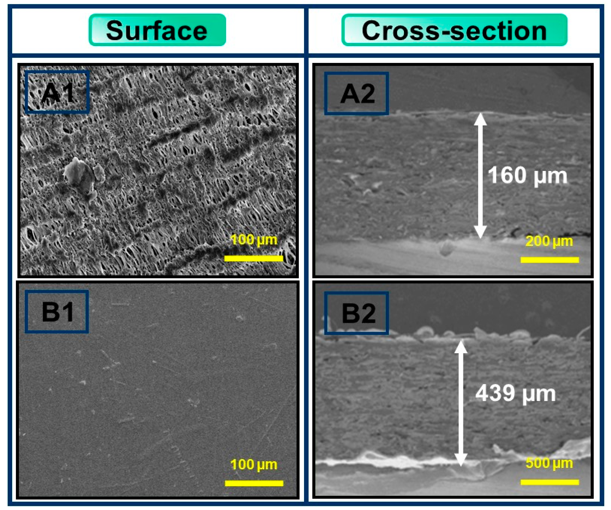 Polymers 16 01283 g003