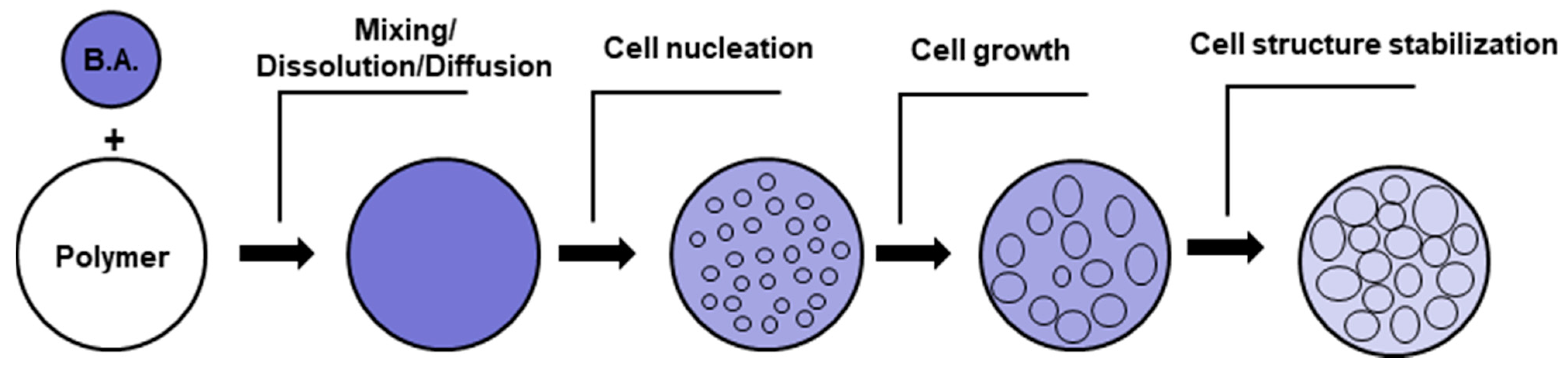 Polymers 16 01286 g002