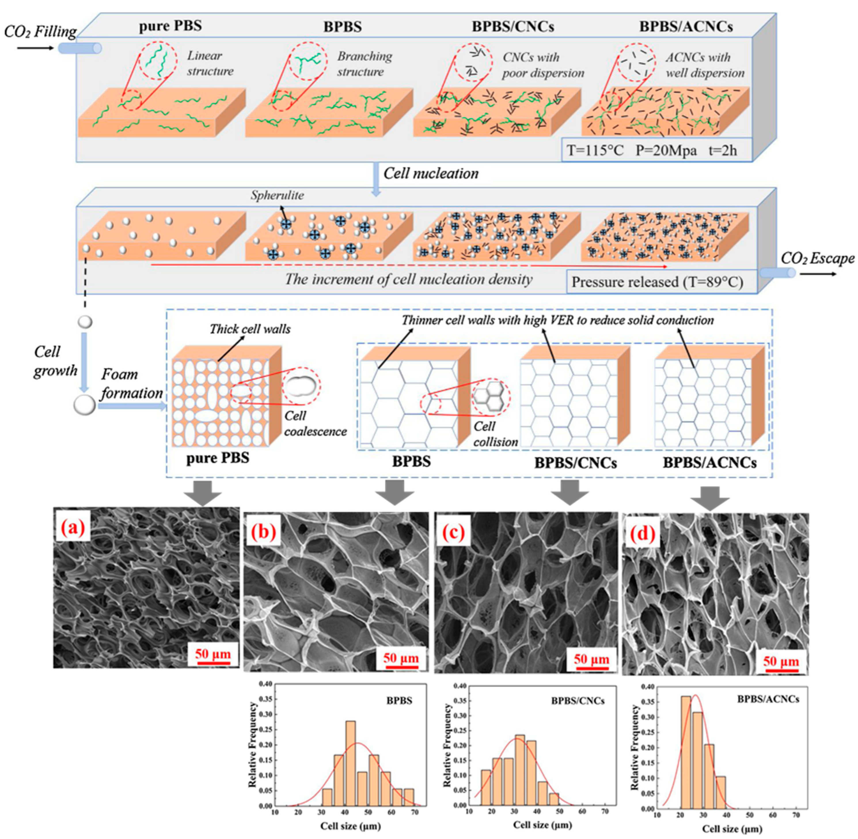 Polymers 16 01286 g014