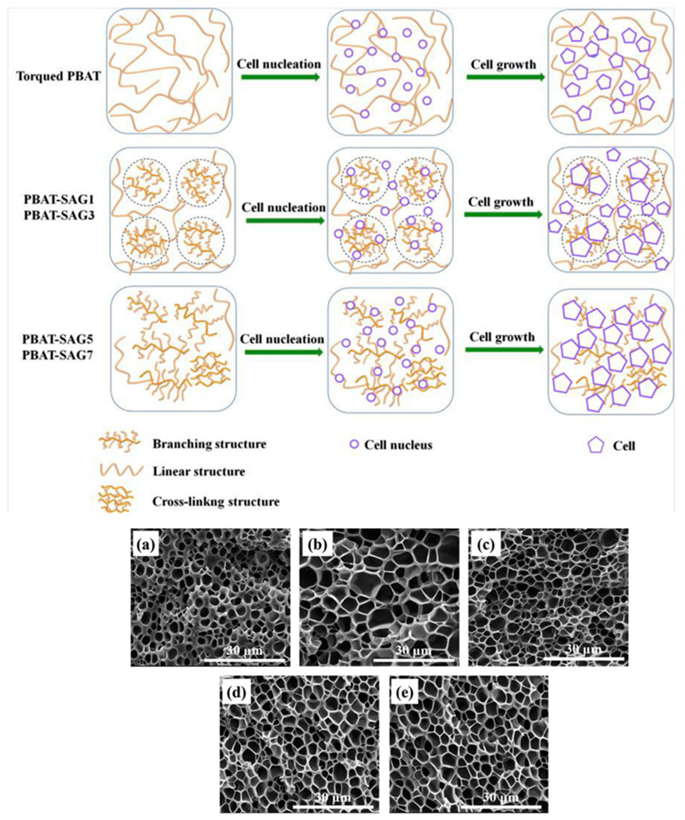 Polymers 16 01286 g016