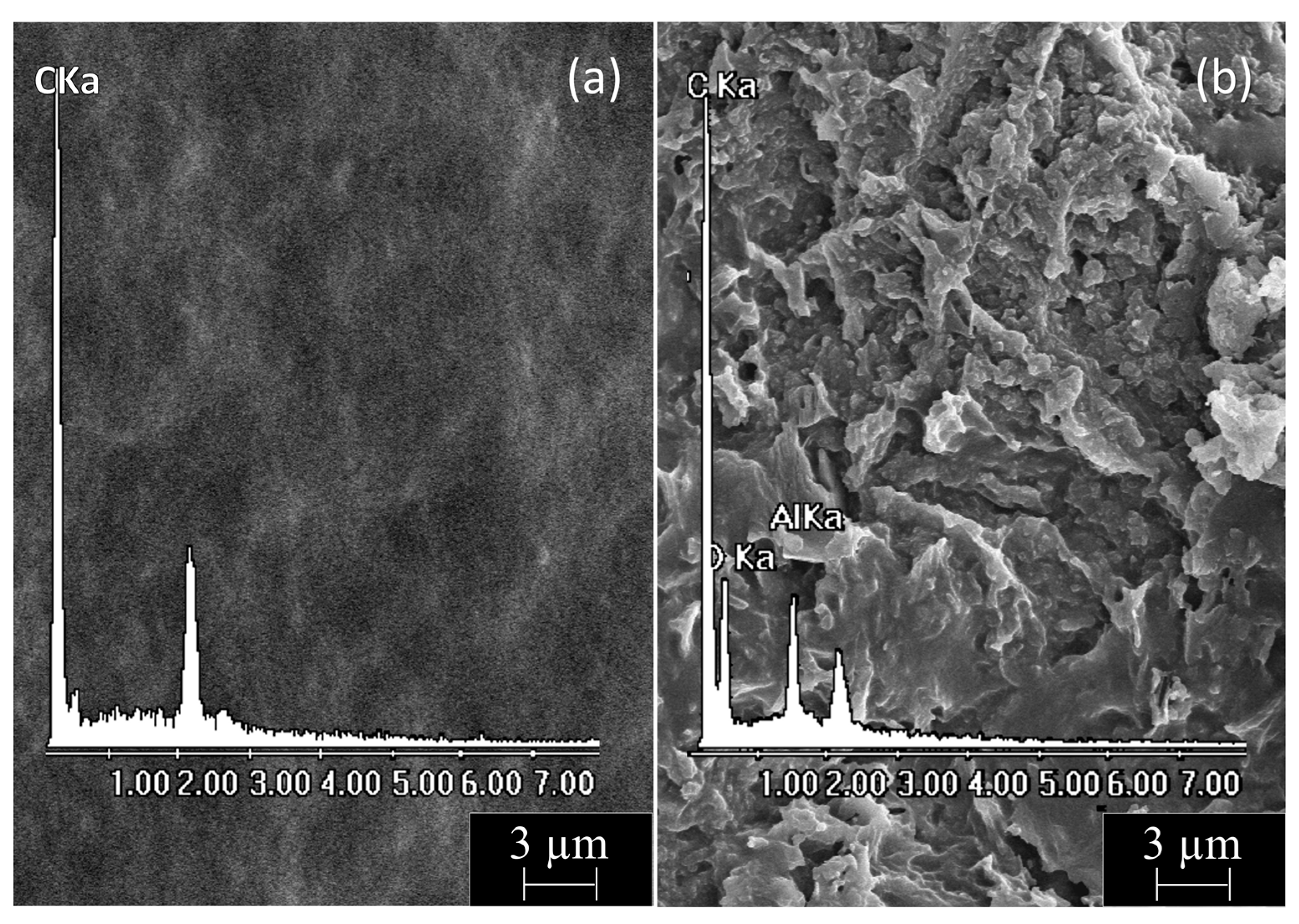 Polymers 16 01291 g005