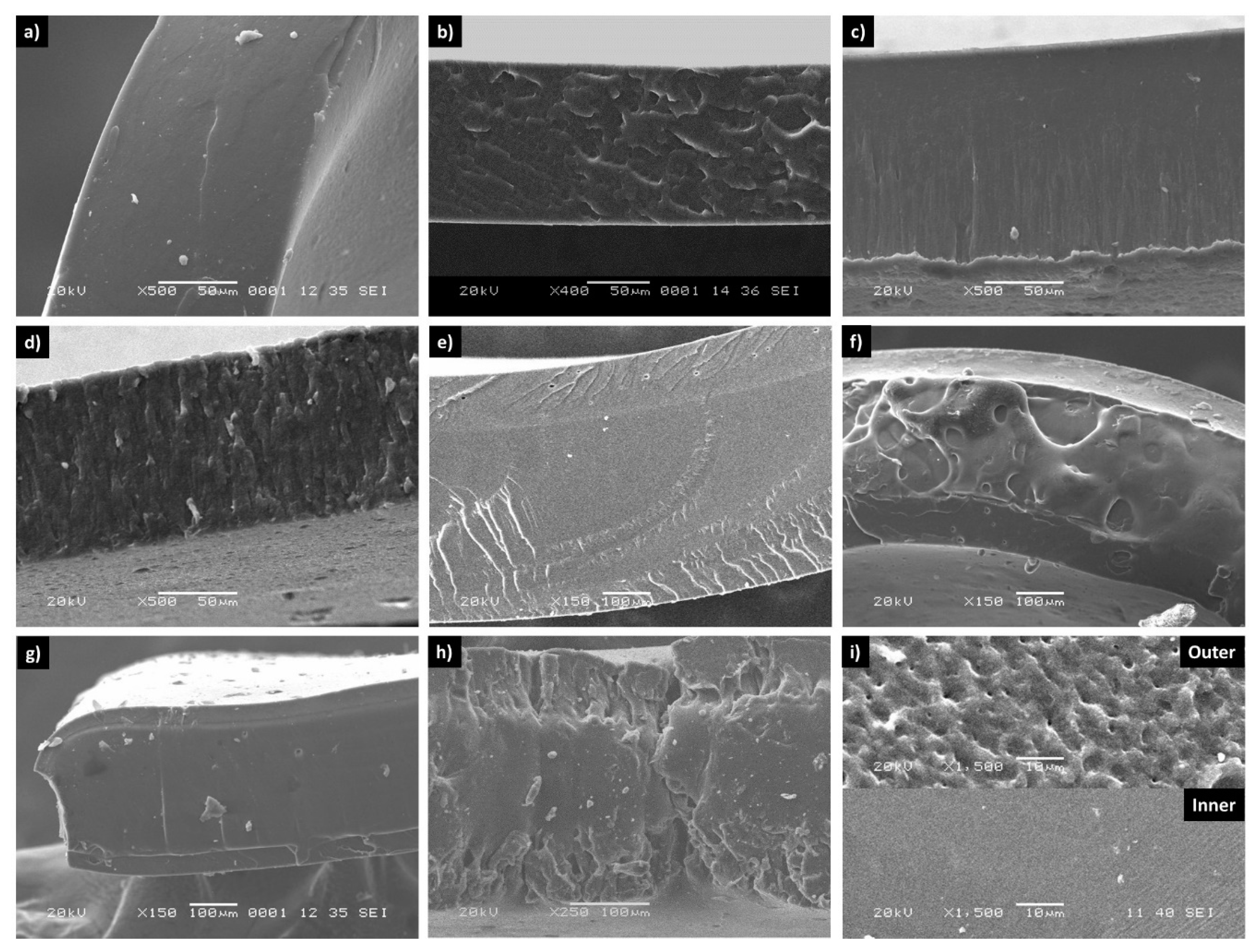 Polymers 16 01314 g007