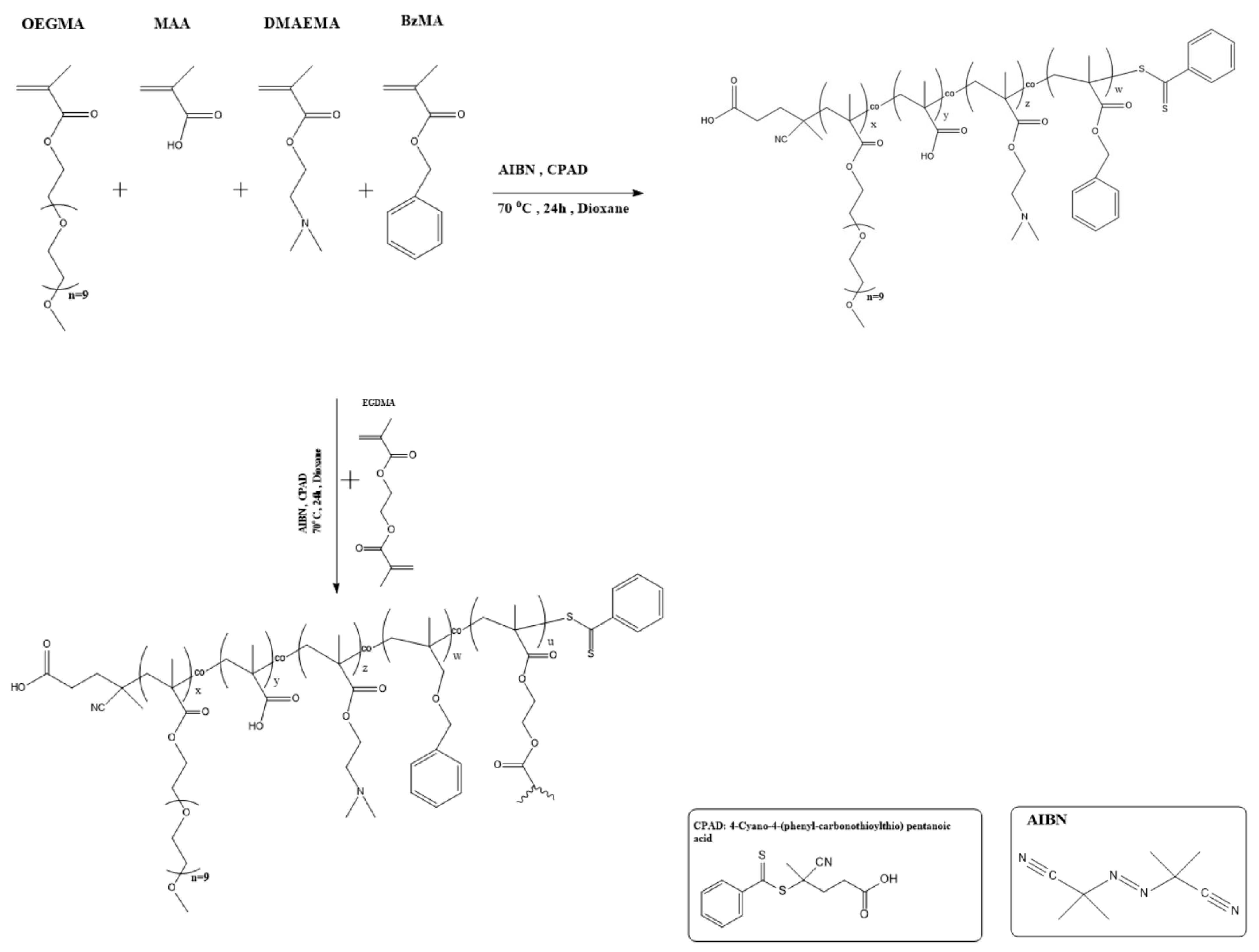 Polymers 16 01321 sch001