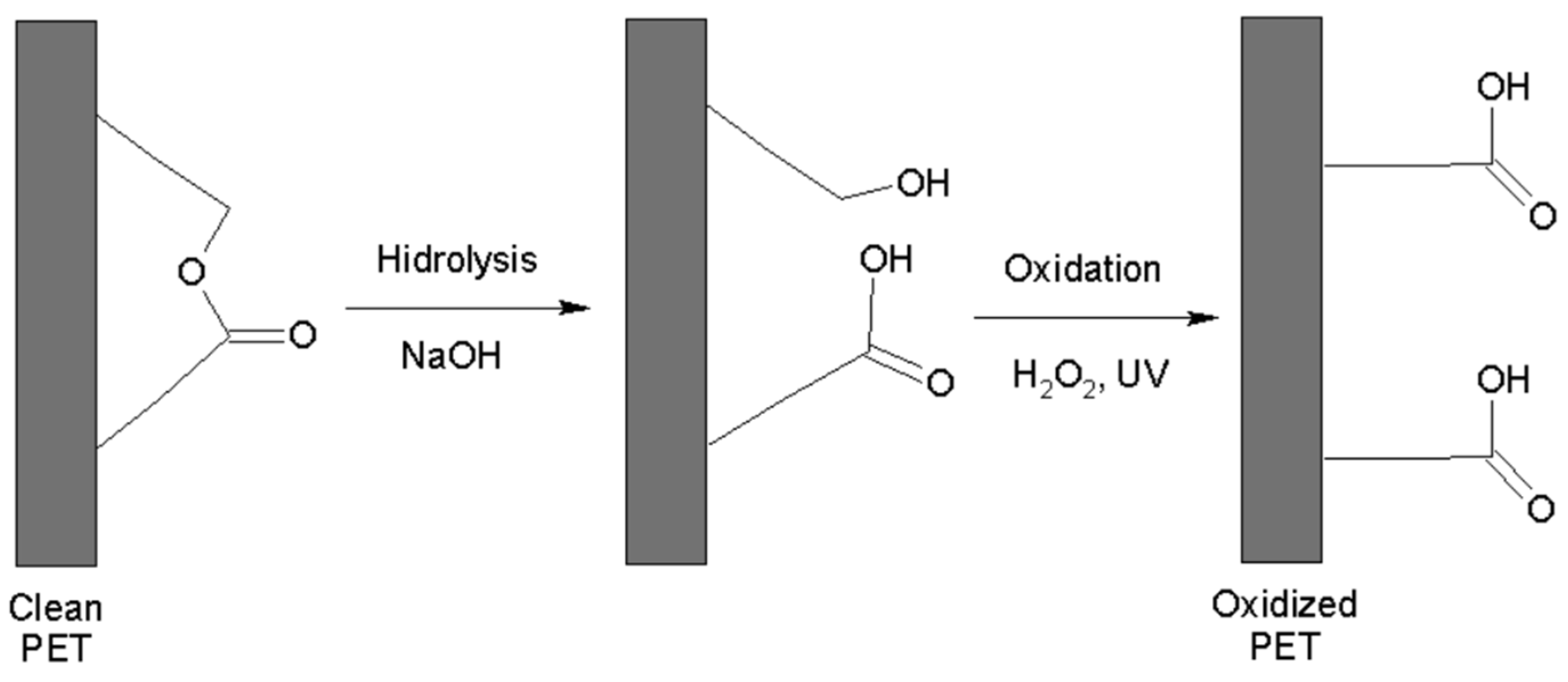 Polymers 16 01325 g001