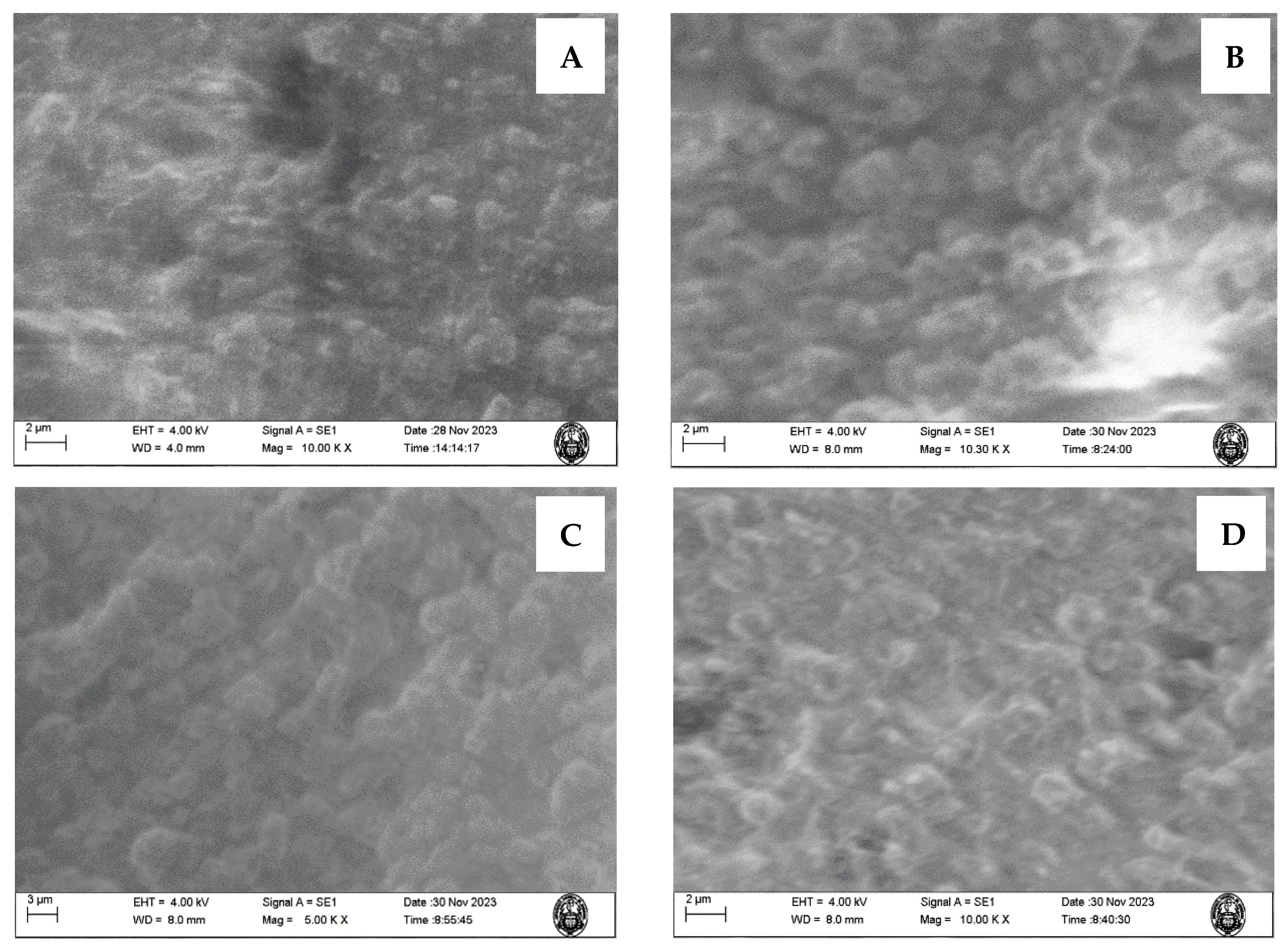 Polymers 16 01325 g011