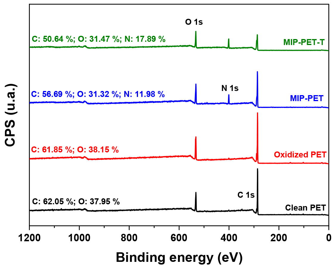 Polymers 16 01325 g012