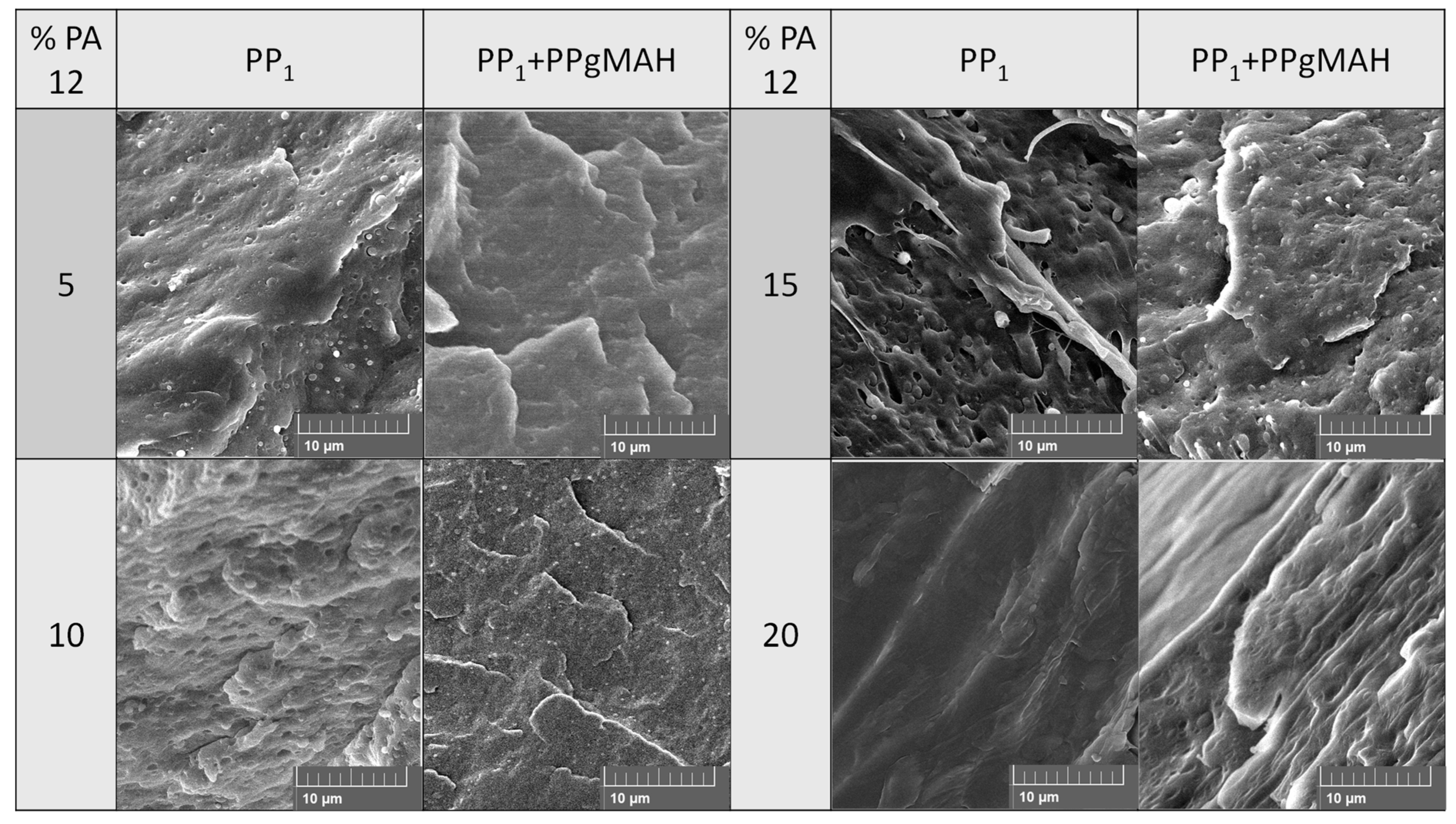 Polymers 16 01339 g006 Polymers 16 01339 g006