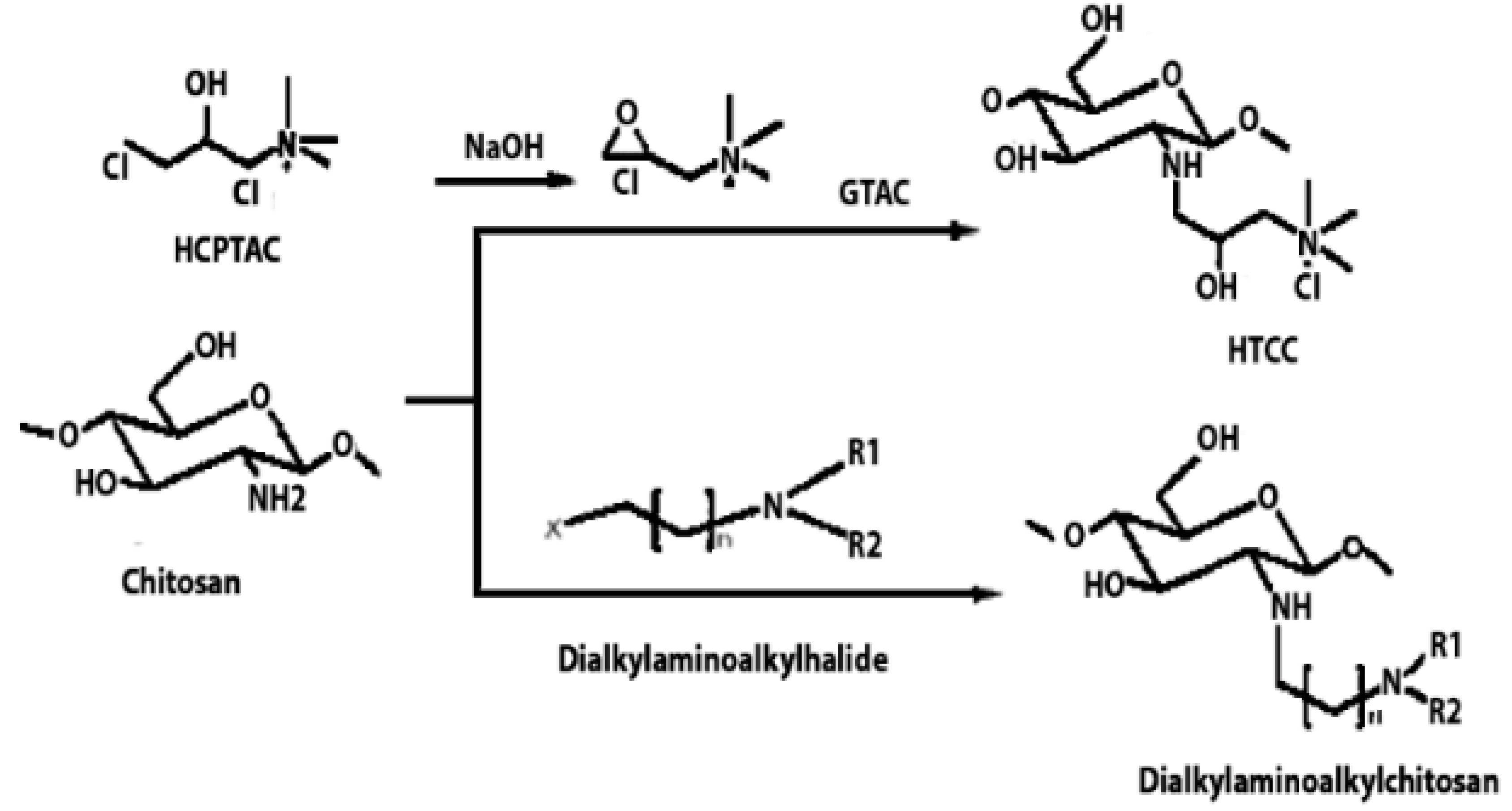Polymers 16 01351 i003