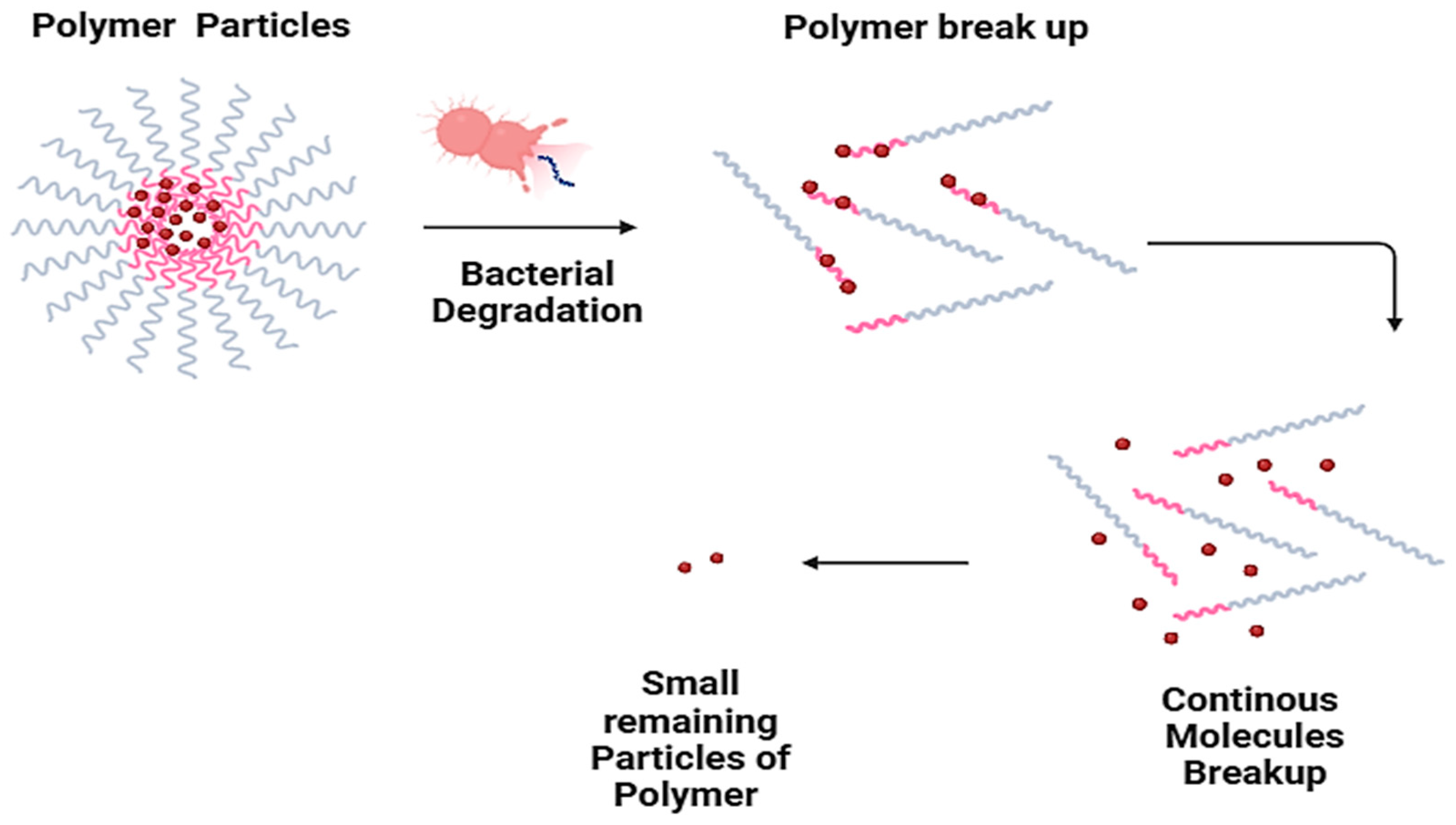 Polymers 16 01356 g003