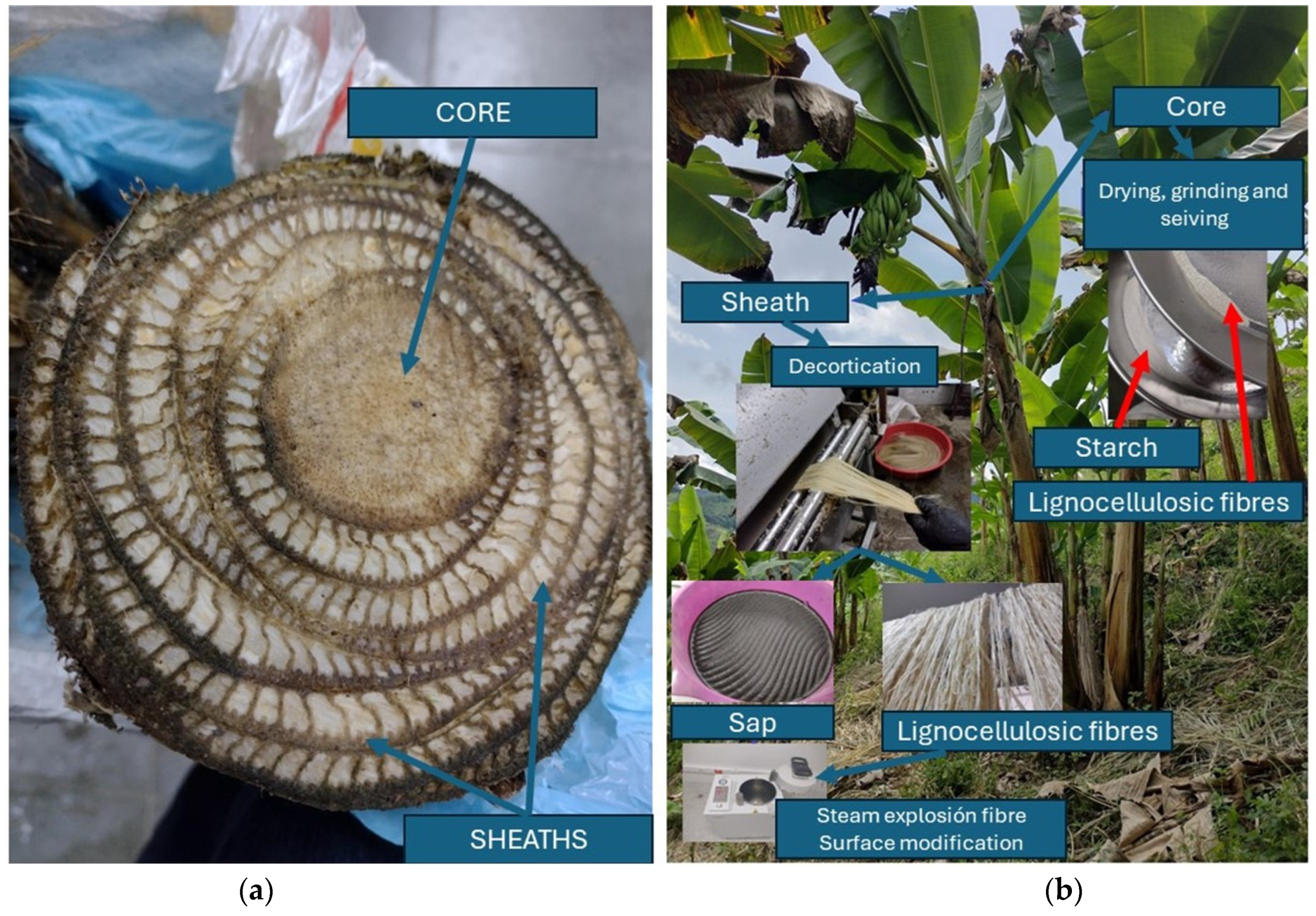 Polymers 16 01357 g001