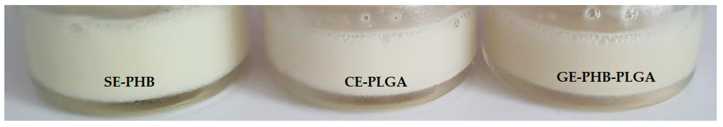 Polymers 16 01362 g001 Polymers 16 01362 g001