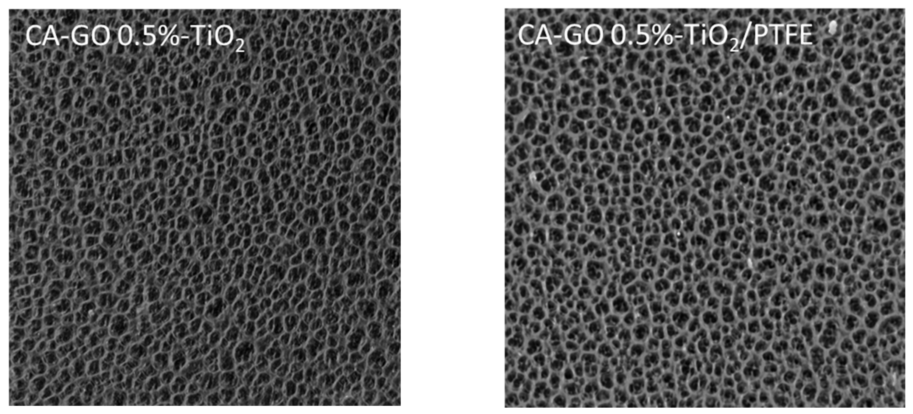 Polymers 16 01368 g005