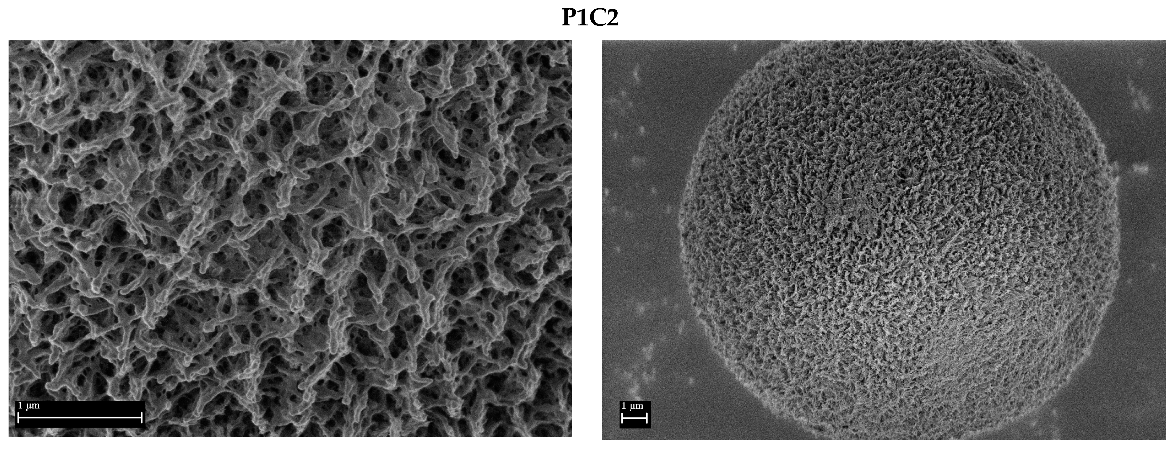 Polymers 16 01382 g004a