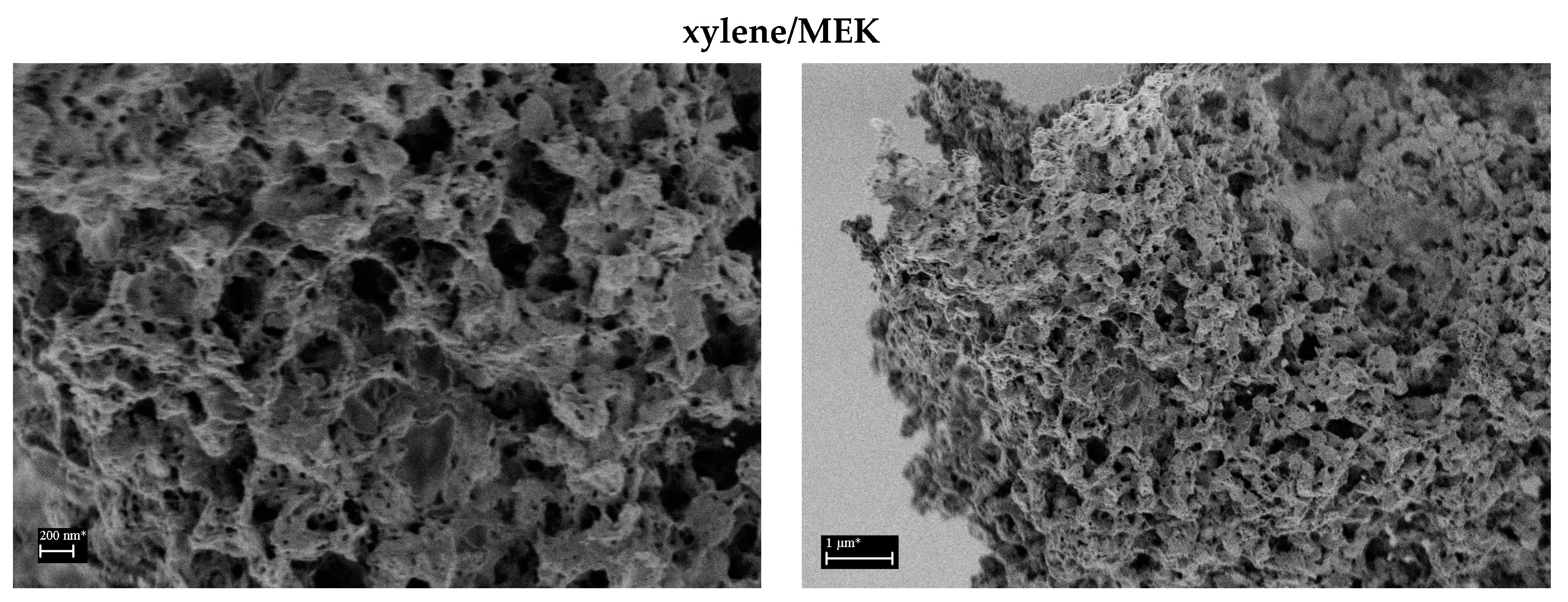 Polymers 16 01382 g006b