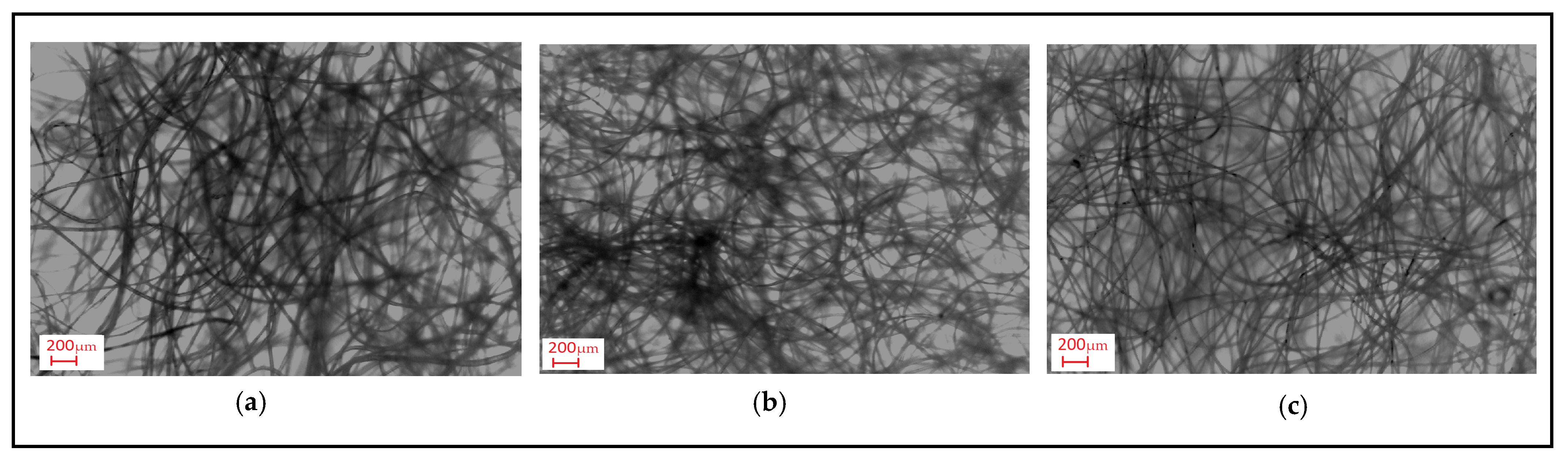 Polymers 16 01391 g006