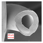 Polymers 16 01391 i002