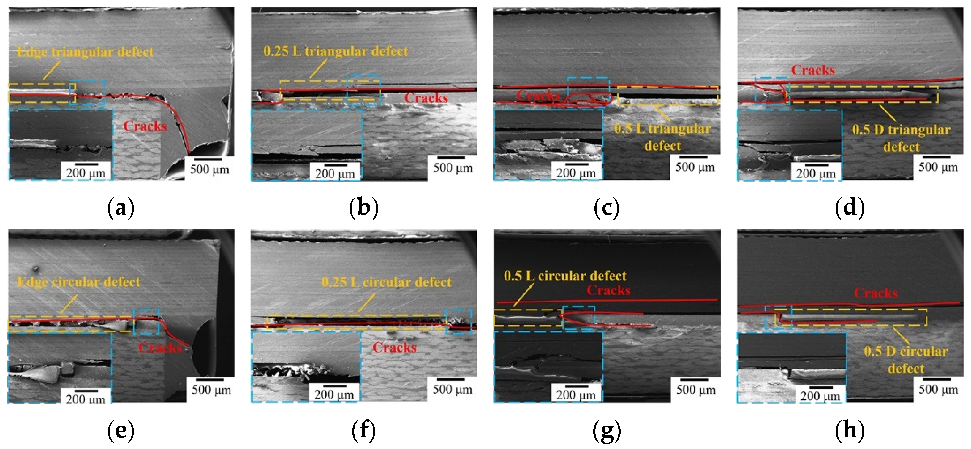 Polymers 16 01406 g007