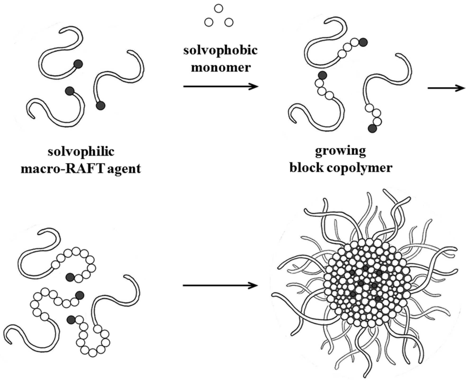 Polymers 16 01408 g002 Polymers 16 01408 g002