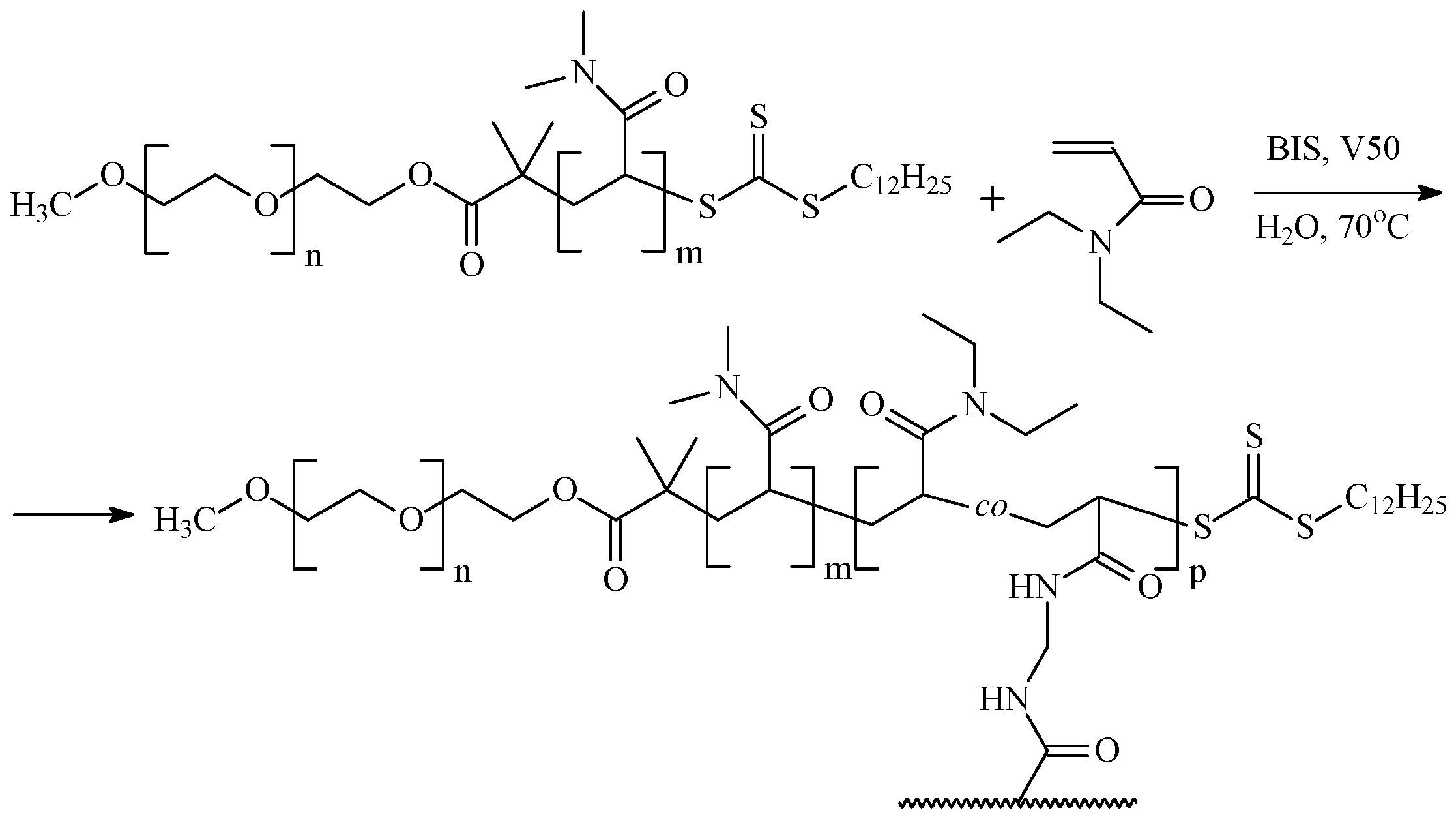 Polymers 16 01408 sch029 Polymers 16 01408 sch029