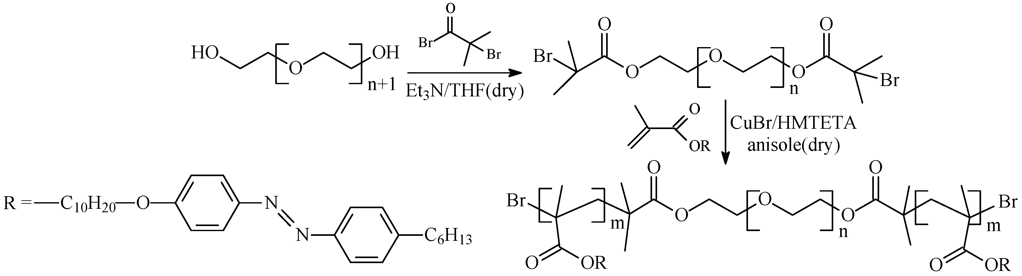 Polymers 16 01408 sch043 Polymers 16 01408 sch043