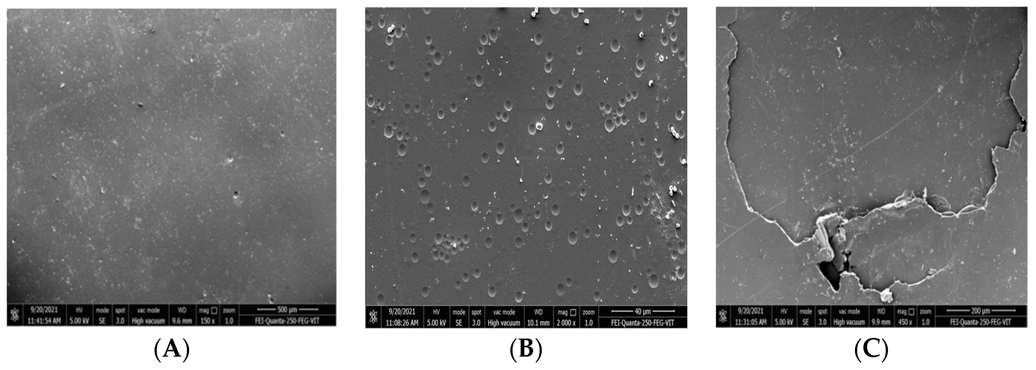 Polymers 16 01411 g009