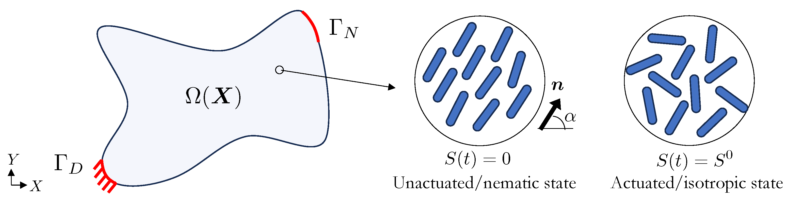 Polymers 16 01425 g001