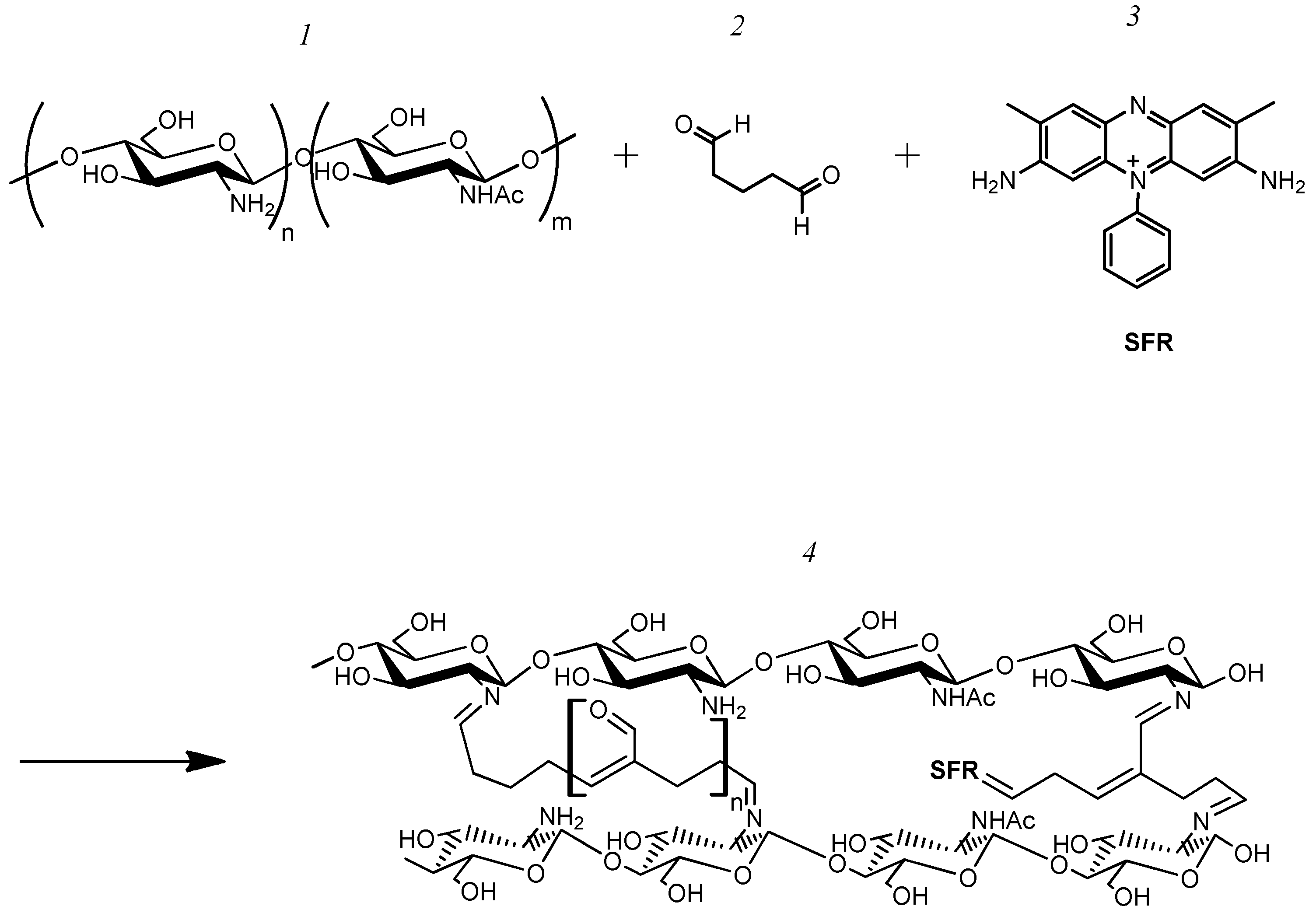 Polymers 16 01431 g002