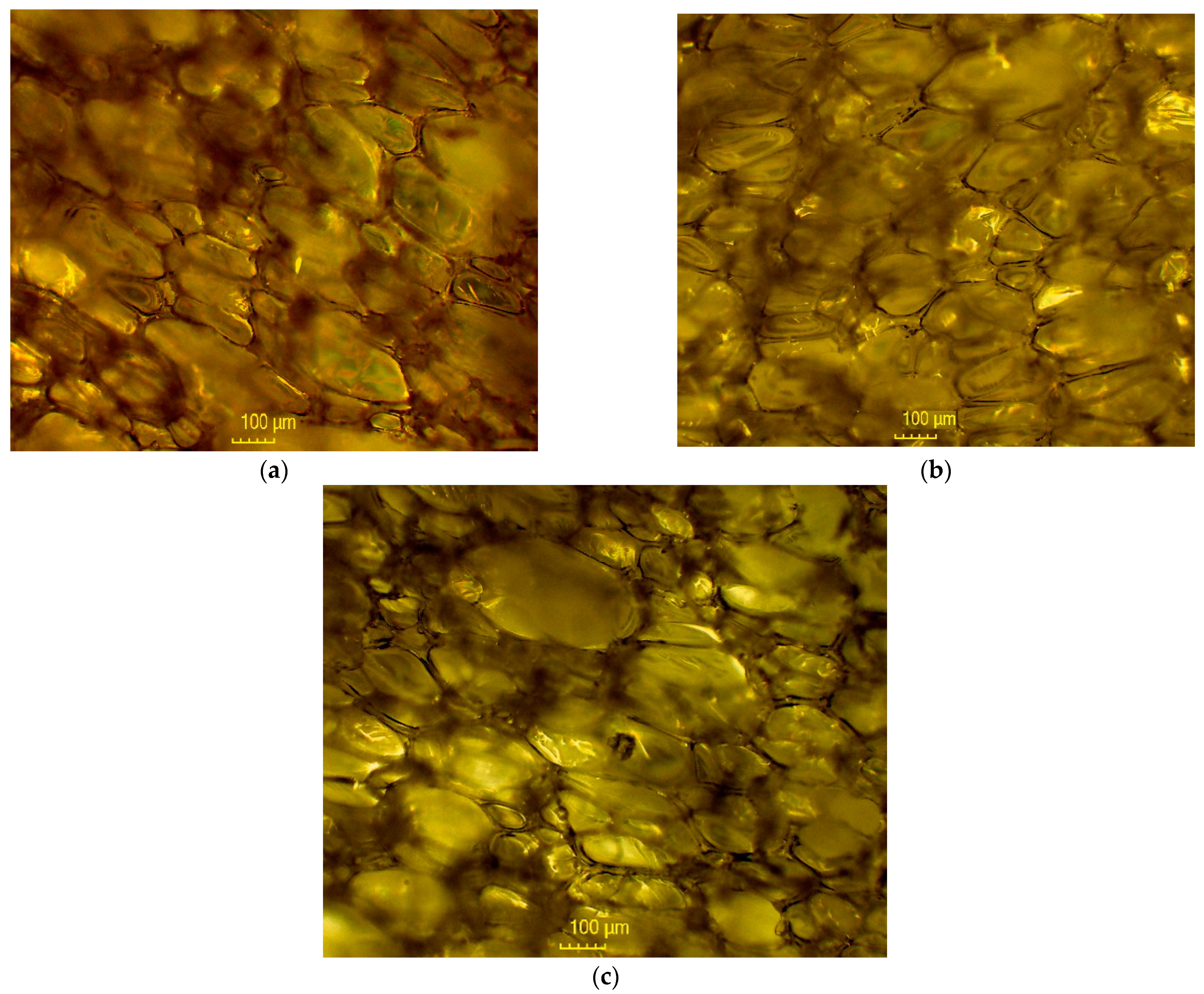 Polymers 16 01438 g007