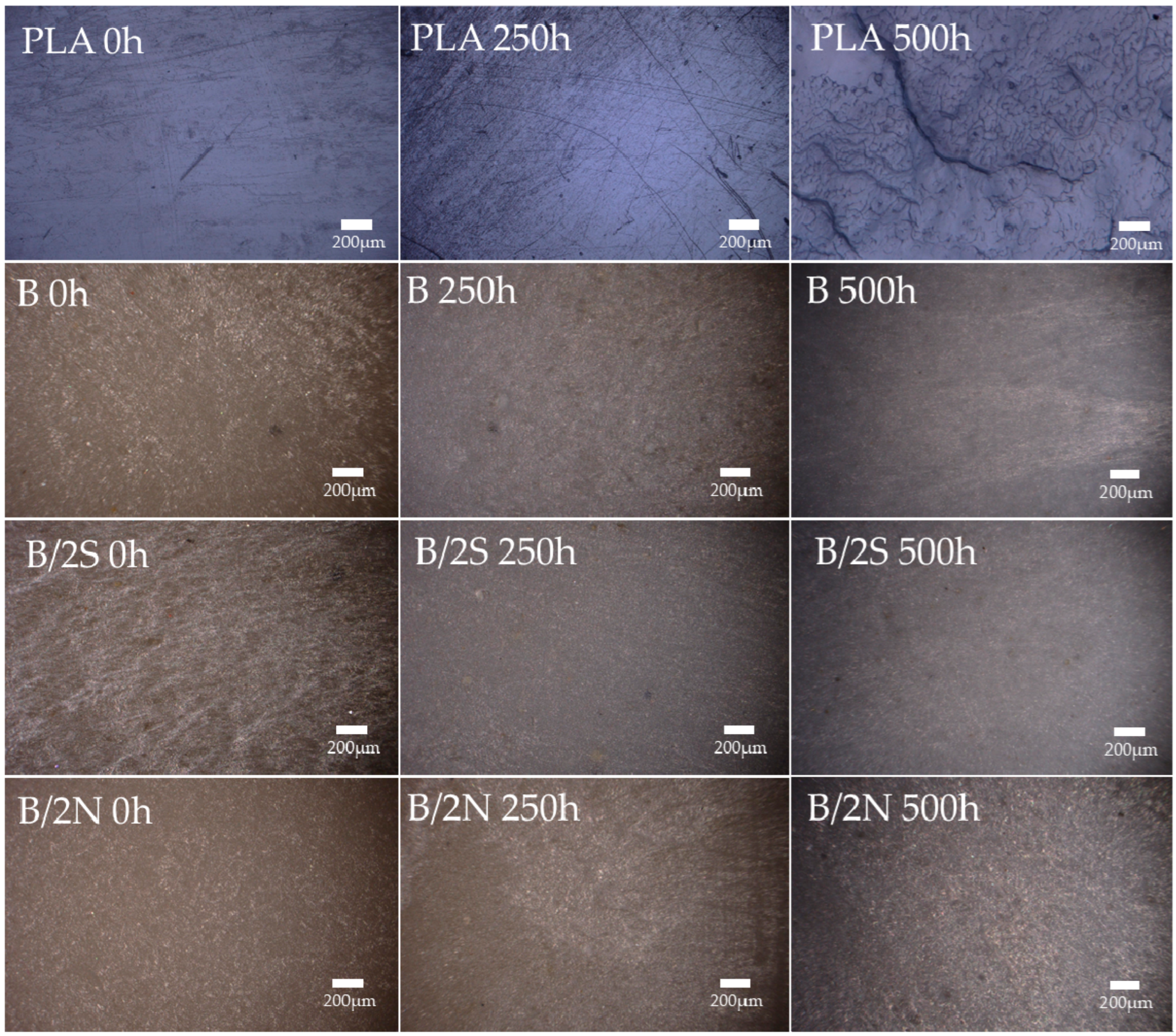 Polymers 16 01450 g012