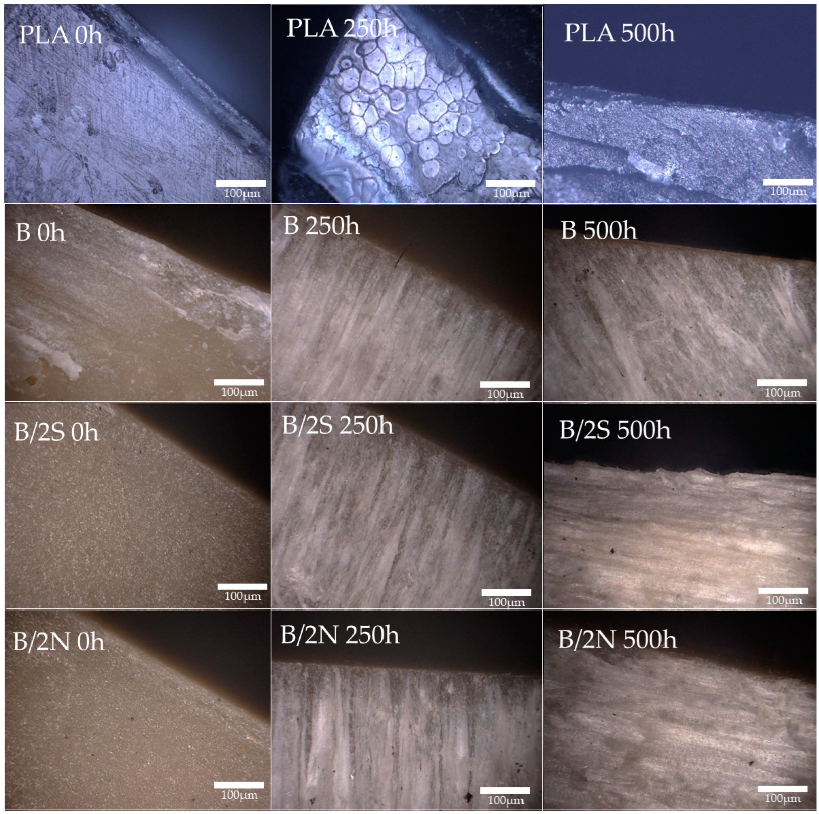 Polymers 16 01450 g014