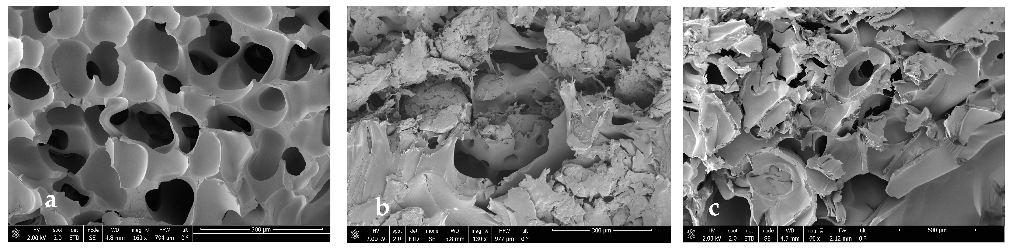 Polymers 16 01451 g013