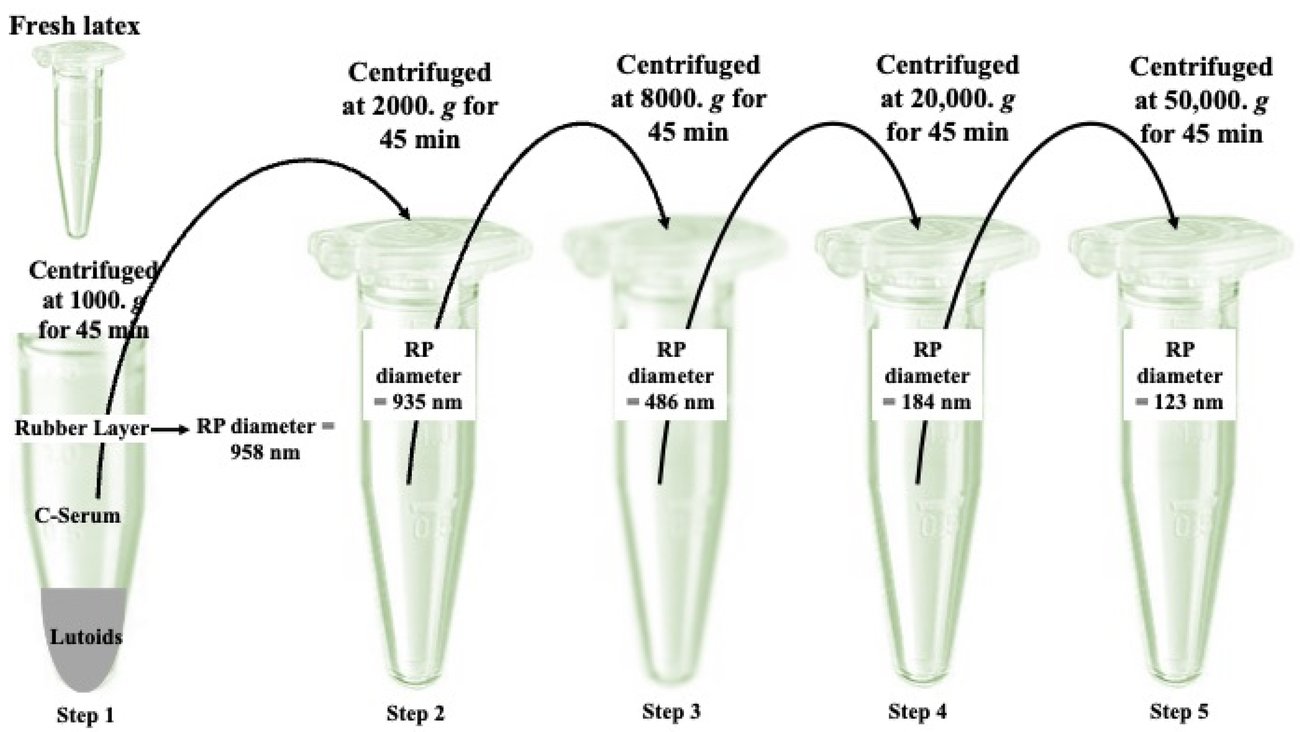 Polymers 16 01468 g001