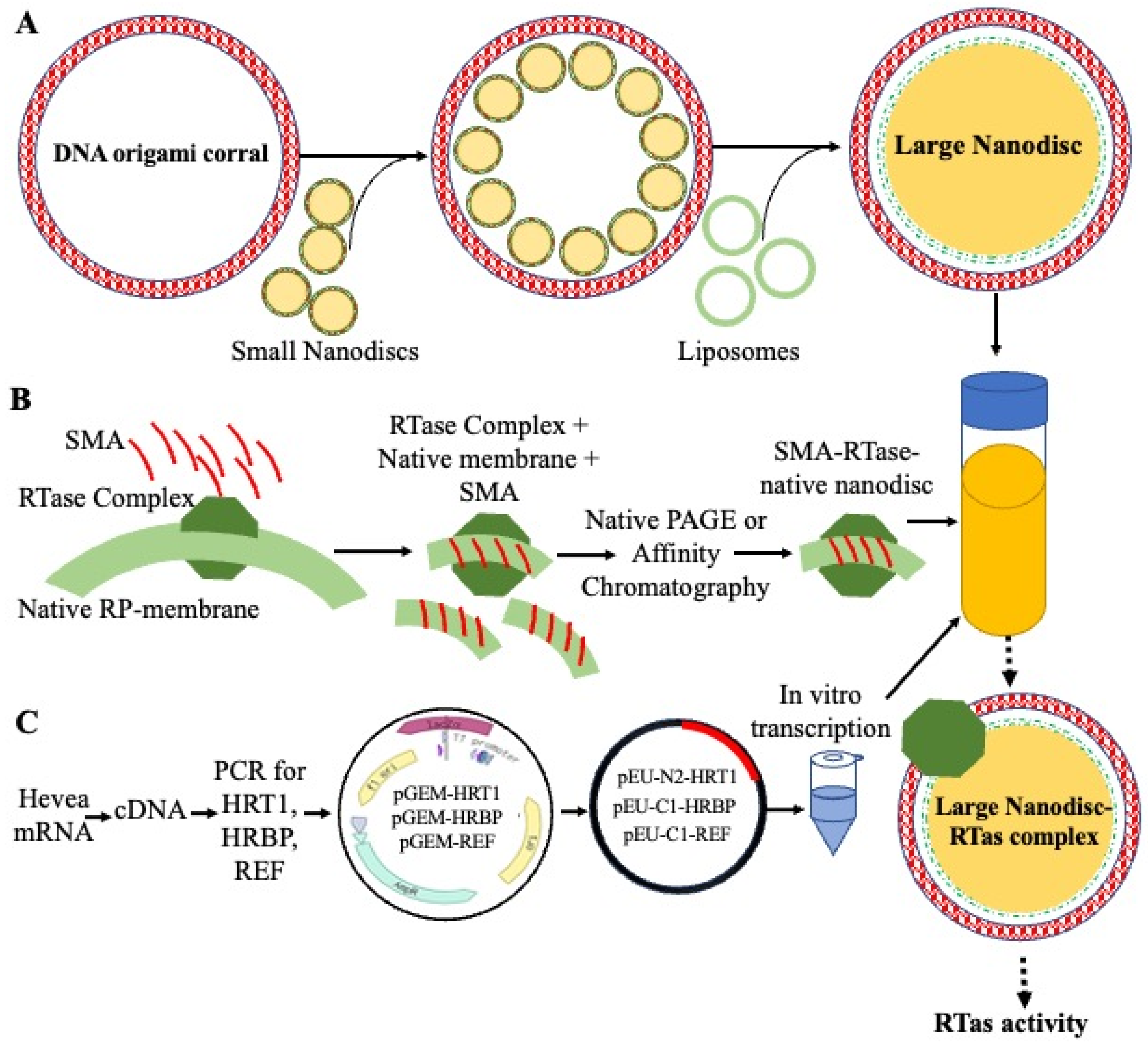 Polymers 16 01468 g005